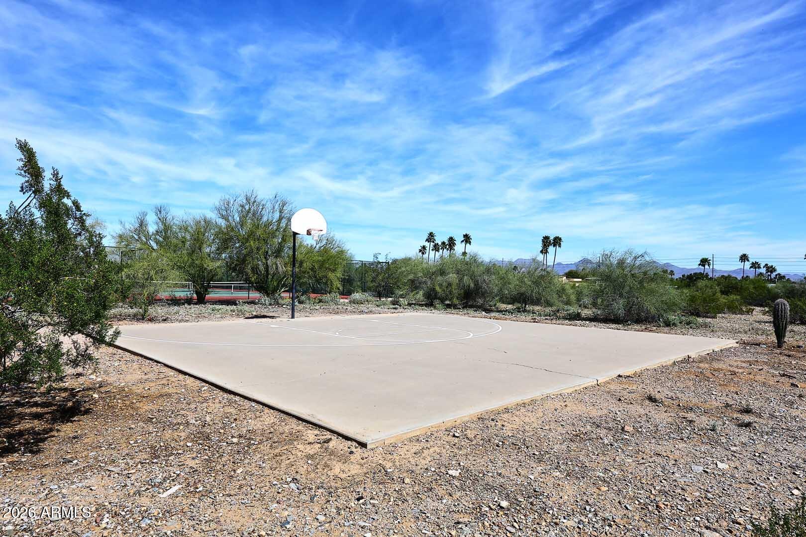 4641 East Mountain View Road Phoenix, AZ 85028 - Photo 41 of 44 a view of a dry yard with trees