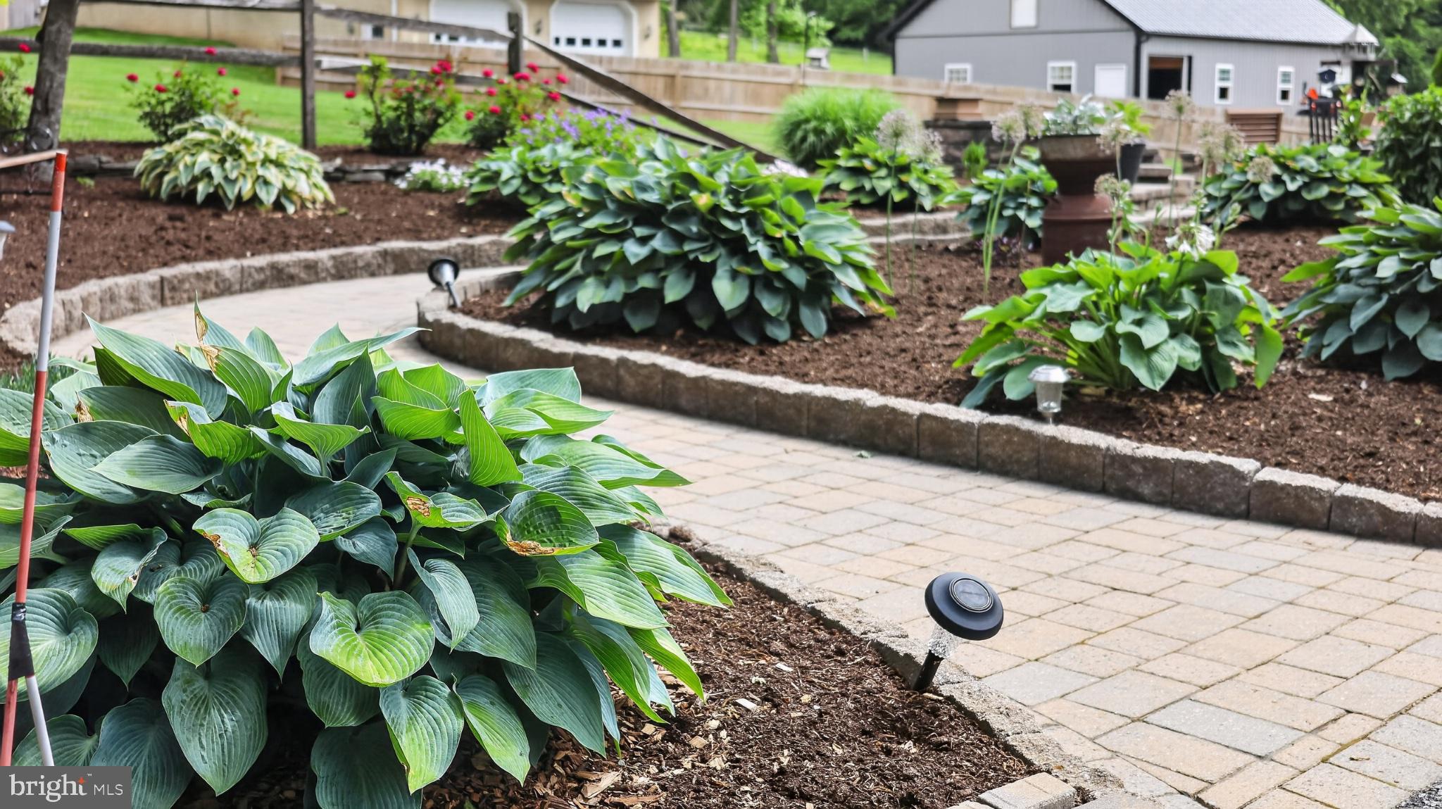 5325 Hammond Road New Holland, PA 17557 - Photo 63 of 73 Lush garden path with vibrant greenery.