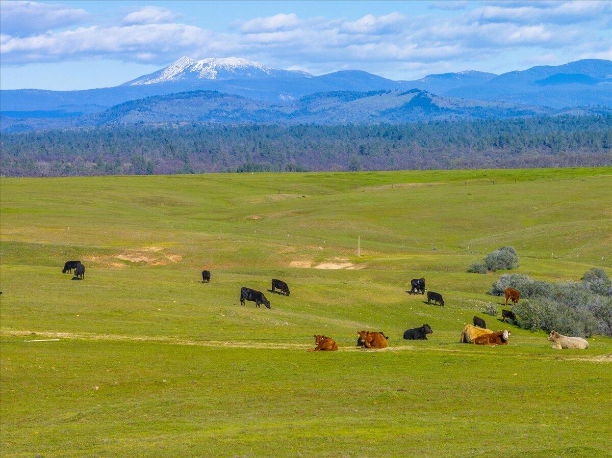 23504 Dersch Road Anderson, CA 96007 - Photo 39 of 54 a view of an ocean and a mountain
