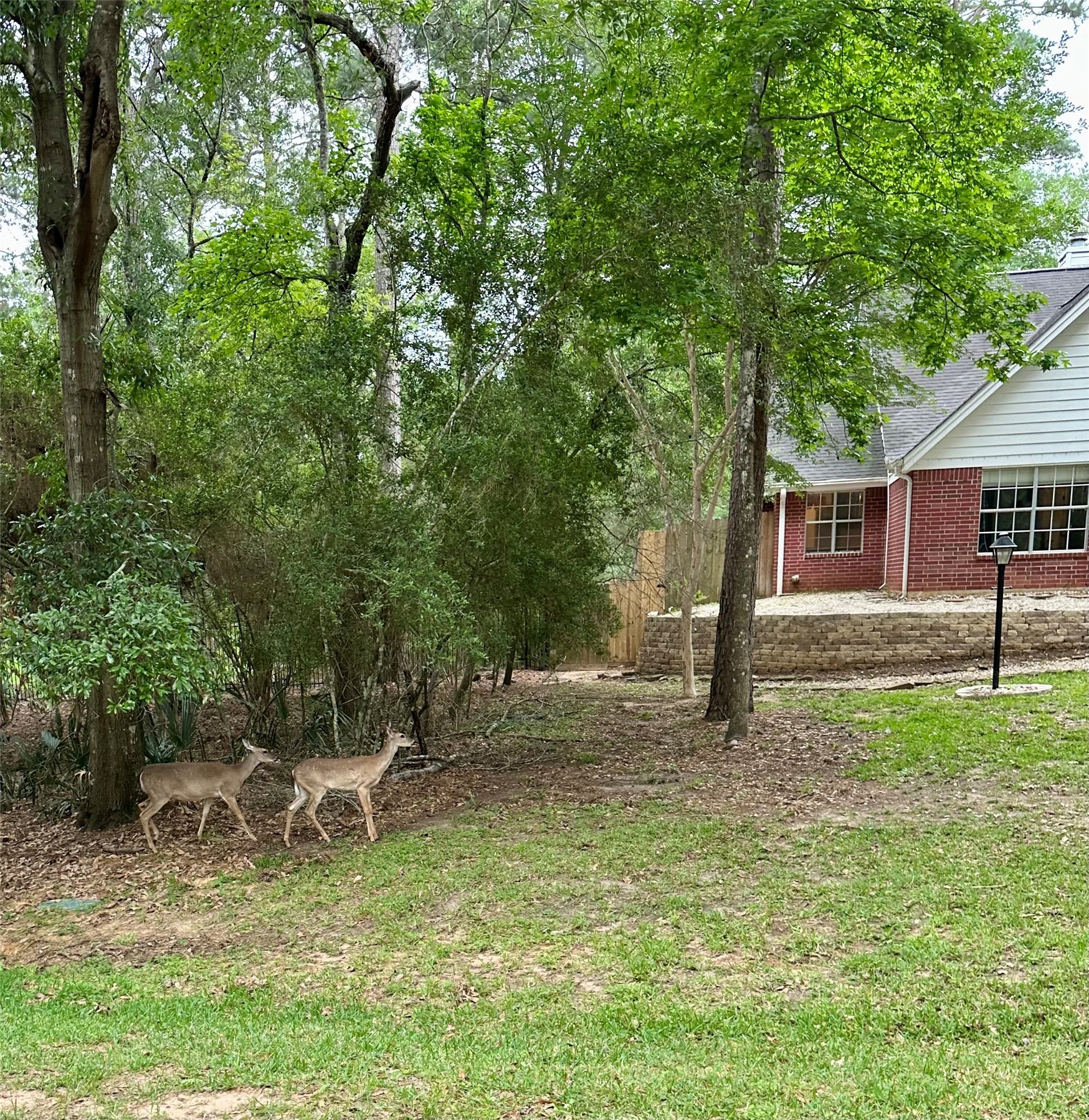 2420 Canter Lane Conroe, TX 77384 - Photo 21 of 24 a backyard of a house with seating space