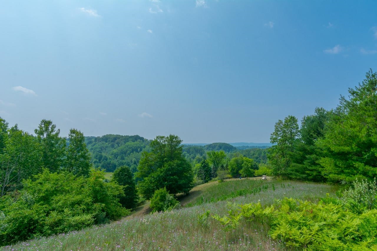 7557 South Schomberg Road Cedar, MI 49621 - Photo 44 of 52