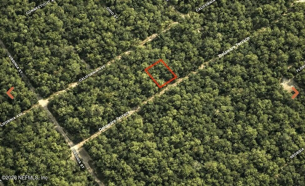 0 Delaware Terrace Interlachen, FL 32148 - Photo 2 of 9 0 Delaware Ter(2)