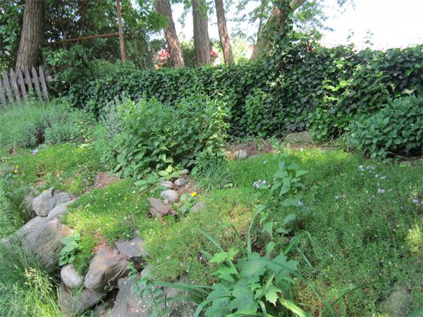 49 Carleton Road Belmont, MA 02478 - Photo 14 of 16 Gallery Image 14