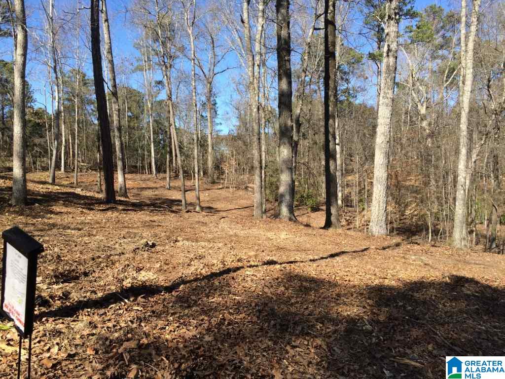 102 Hickory Way, Unit 56 ACRES Dadeville, AL 36853 - Photo 6 of 14
