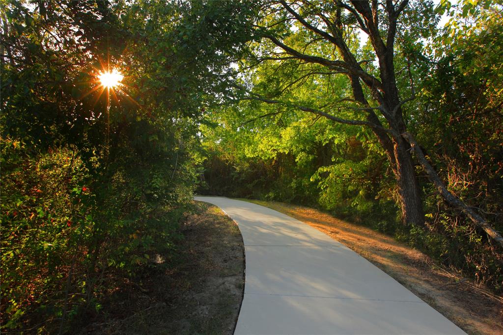 1406 Potenza Road Fate, TX 75087 - Photo 21 of 23