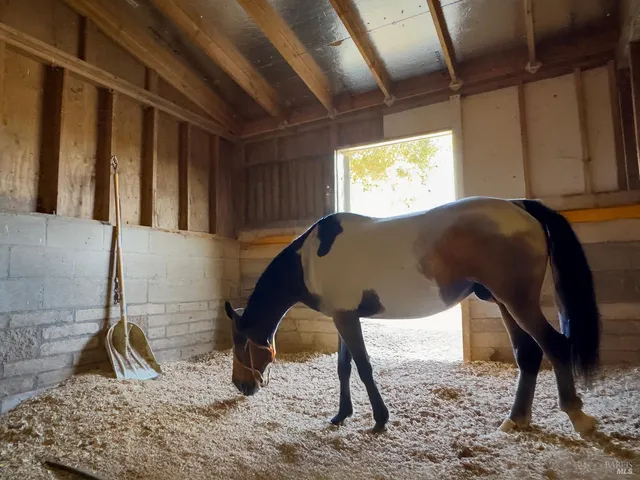 $3,100,000 | 4560 Lovall Valley Loop Road, Sonoma, CA 95476