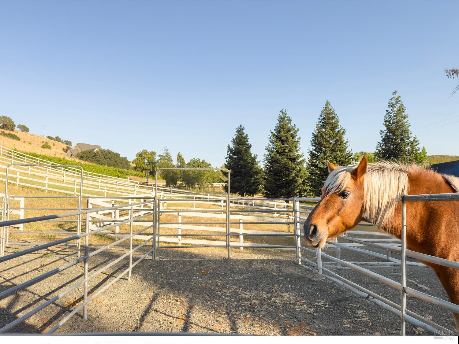 4560 Lovall Valley Loop Road Sonoma, CA 95476 - Photo 75 of 95