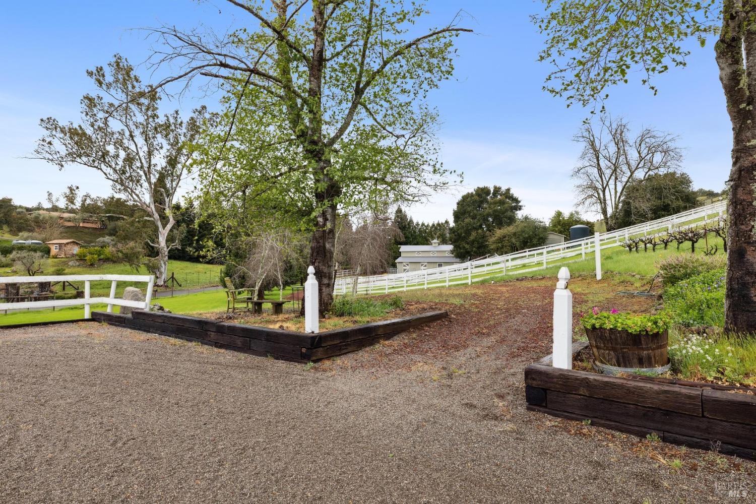 4560 Lovall Valley Loop Road Sonoma, CA 95476 - Photo 82 of 95 a view of a park with large trees