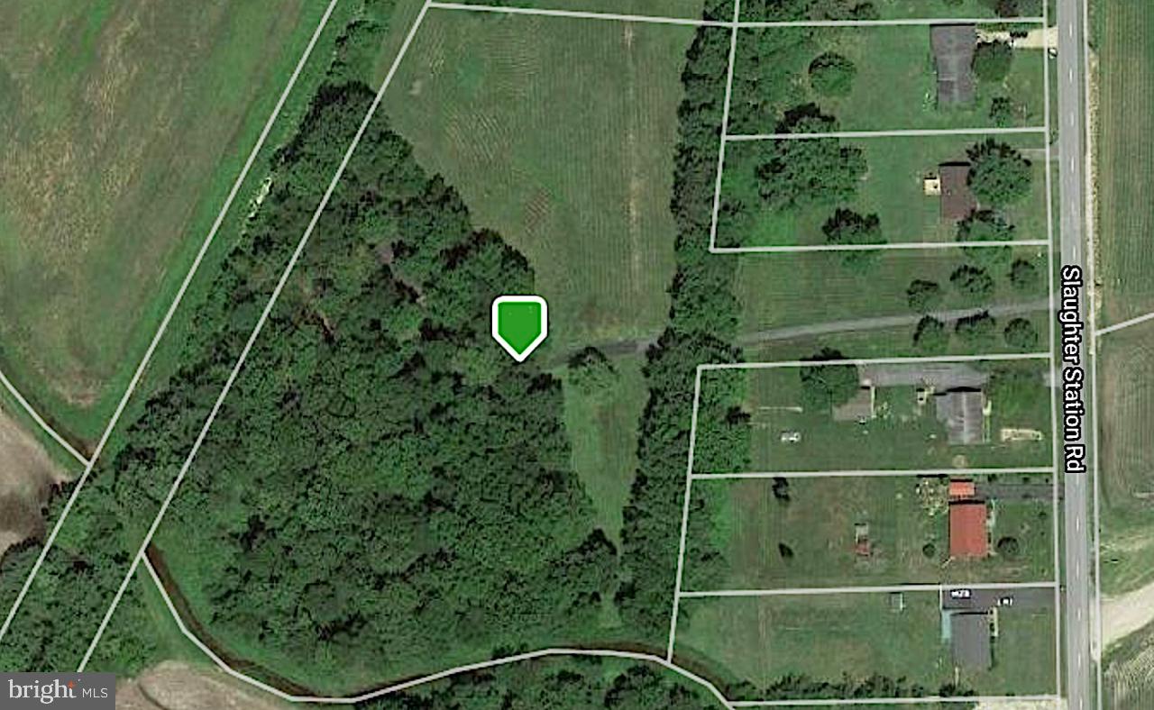 1823 Slaughter Station Road Hartly, DE 19953 - Photo 2 of 63 Ariel View