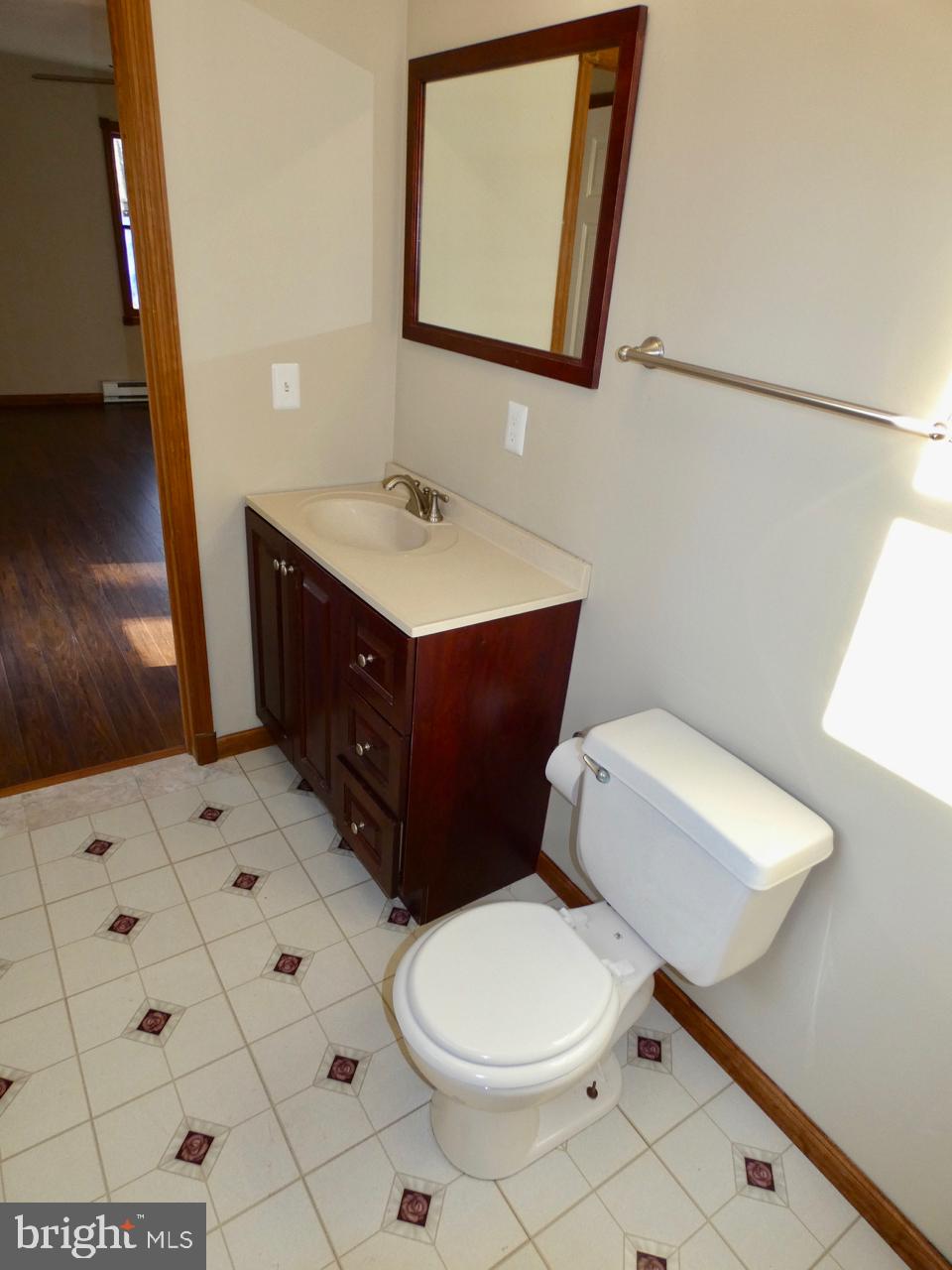 1823 Slaughter Station Road Hartly, DE 19953 - Photo 30 of 63 Primary Bathroom
