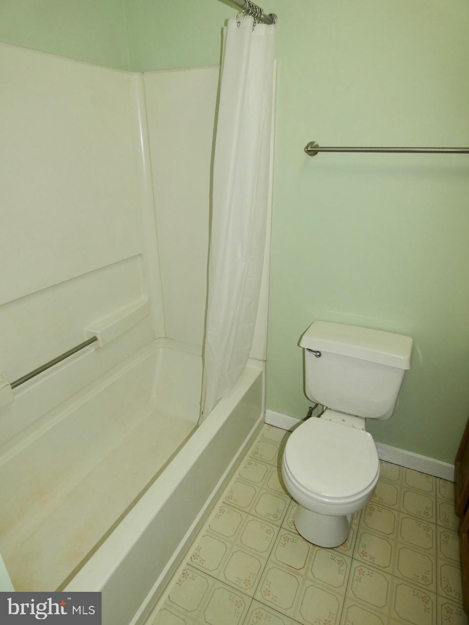 1823 Slaughter Station Road Hartly, DE 19953 - Photo 41 of 63 Full Bath
