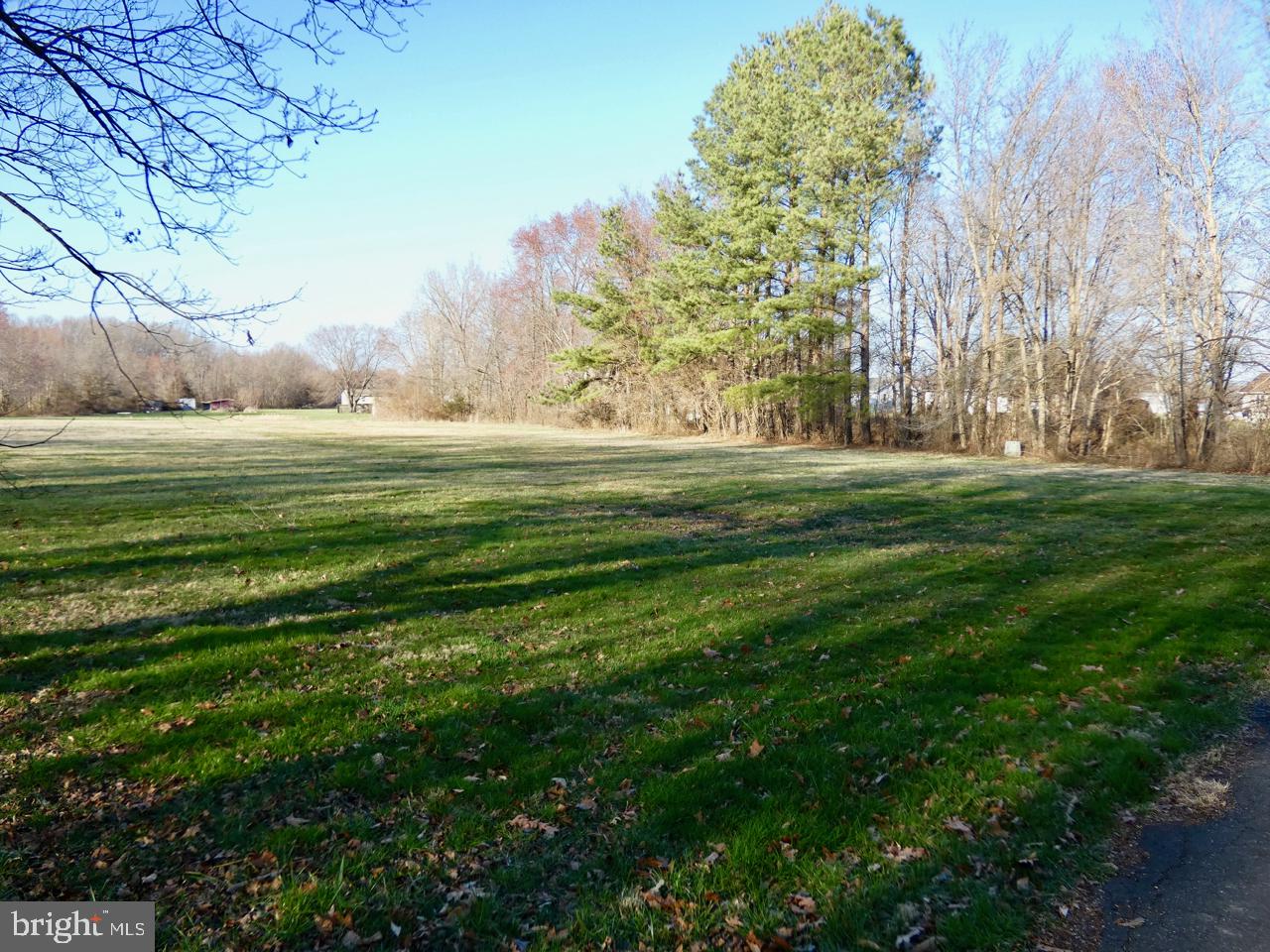 1823 Slaughter Station Road Hartly, DE 19953 - Photo 48 of 63 Open Front Yard
