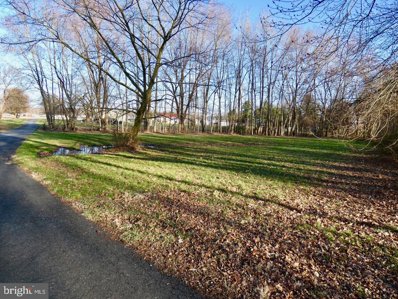 1823 Slaughter Station Road Hartly, DE 19953 - Photo 50 of 63 Front View to right of Driveway