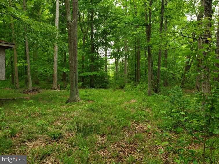 1823 Slaughter Station Road Hartly, DE 19953 - Photo 61 of 63 Wooded Rear