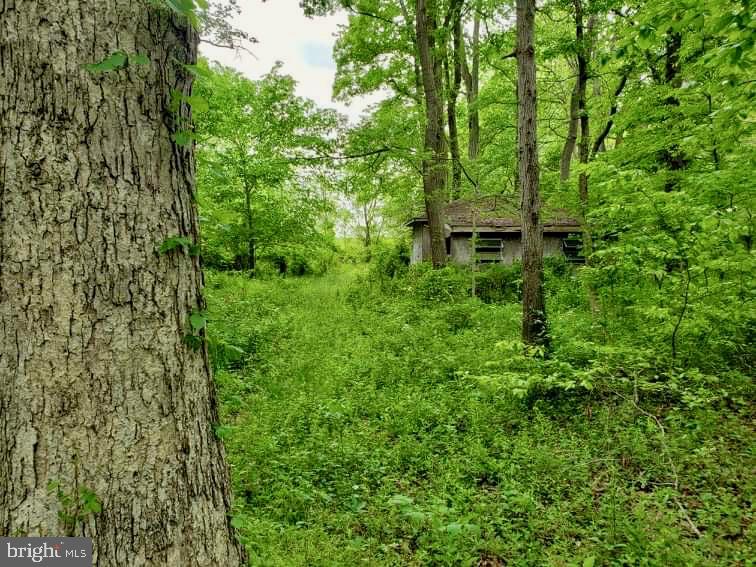 1823 Slaughter Station Road Hartly, DE 19953 - Photo 62 of 63 Wooded Rear