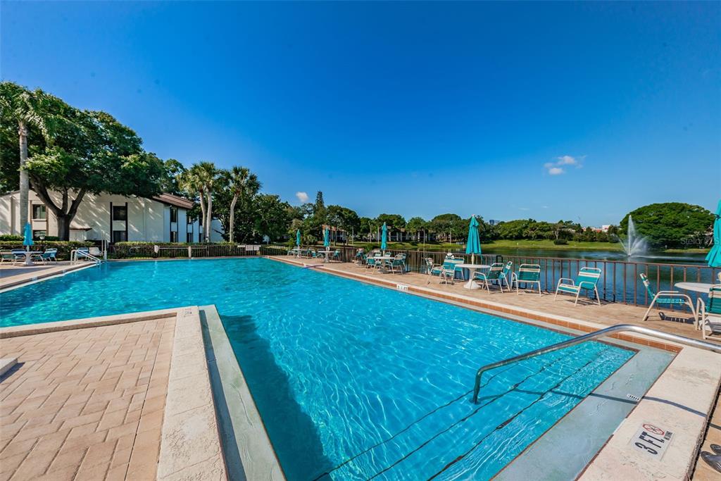 1870 Pine Ridge Way West, Unit G1 Palm Harbor, FL 34684 - Photo 63 of 77