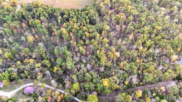 $225,000 | 13242 County Road 7160, Rolla, MO 65401