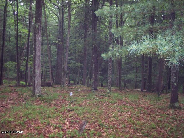 742 R Tink Wig Drive Hawley, PA 18428 - Photo 3 of 13