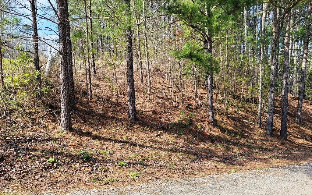 Tbd Sugar Maple Road Murphy, NC 28906 - Photo 10 of 13 Additional View