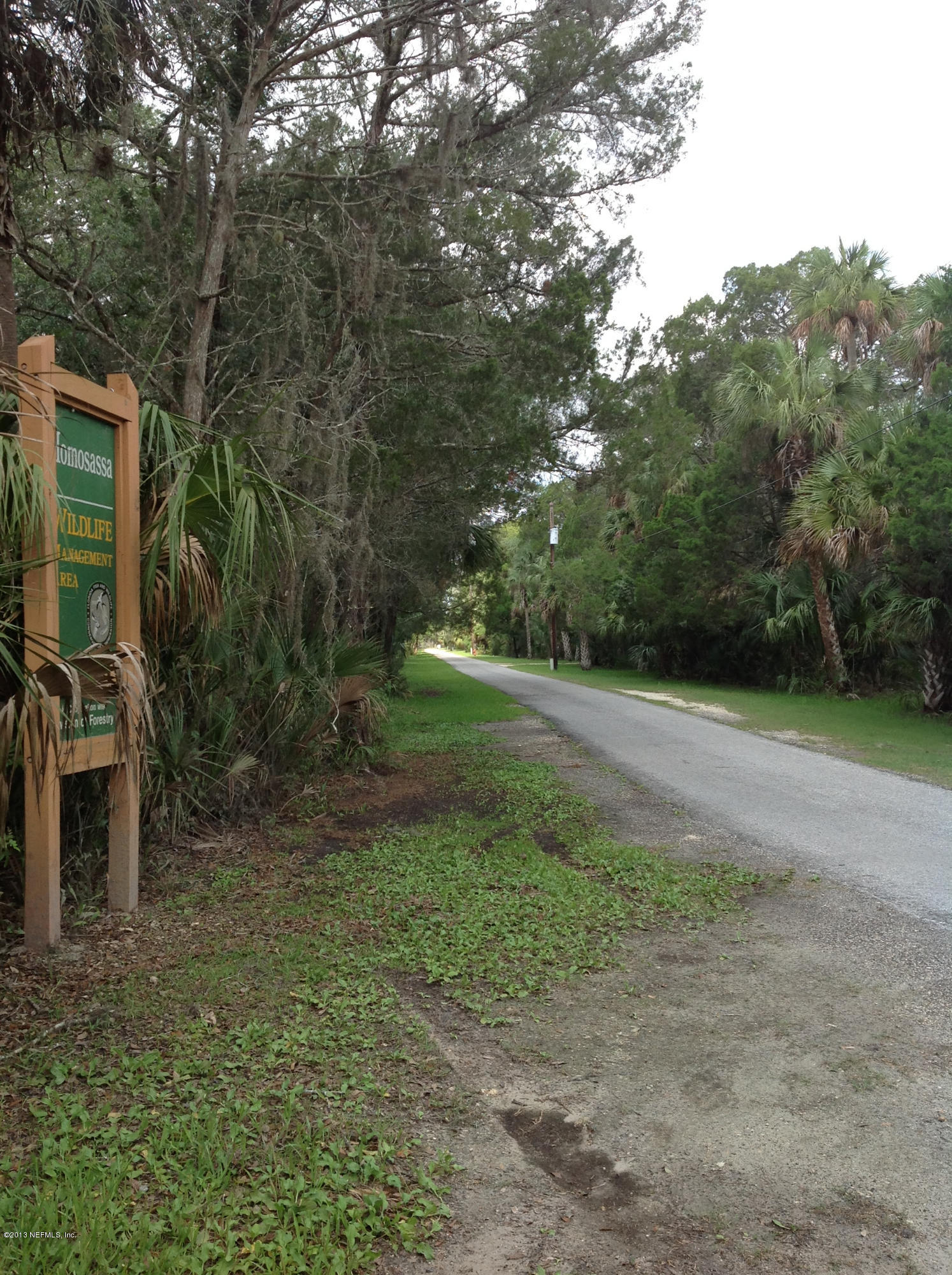 7000 South Hancock Road Homosassa, FL 34448 - Photo 22 of 30 Homosassa Wildlife Management Area