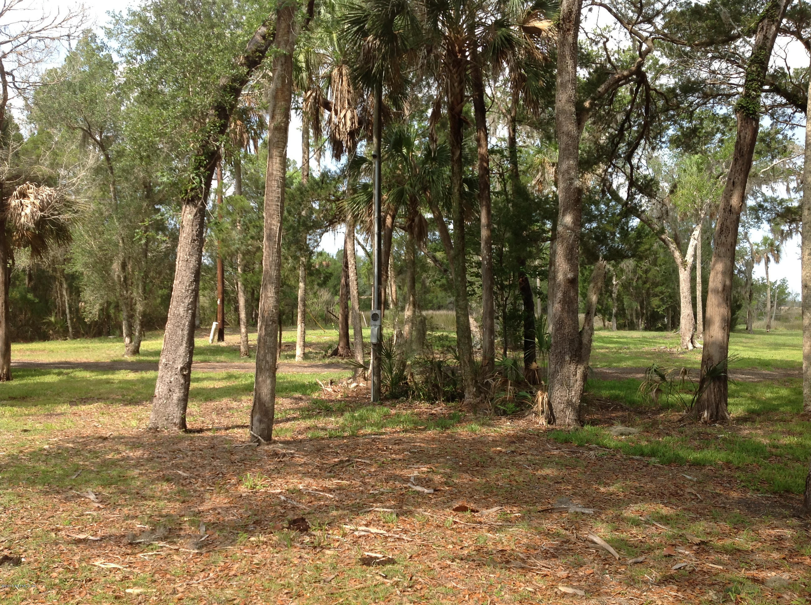 7000 South Hancock Road Homosassa, FL 34448 - Photo 9 of 30 Natural beauty