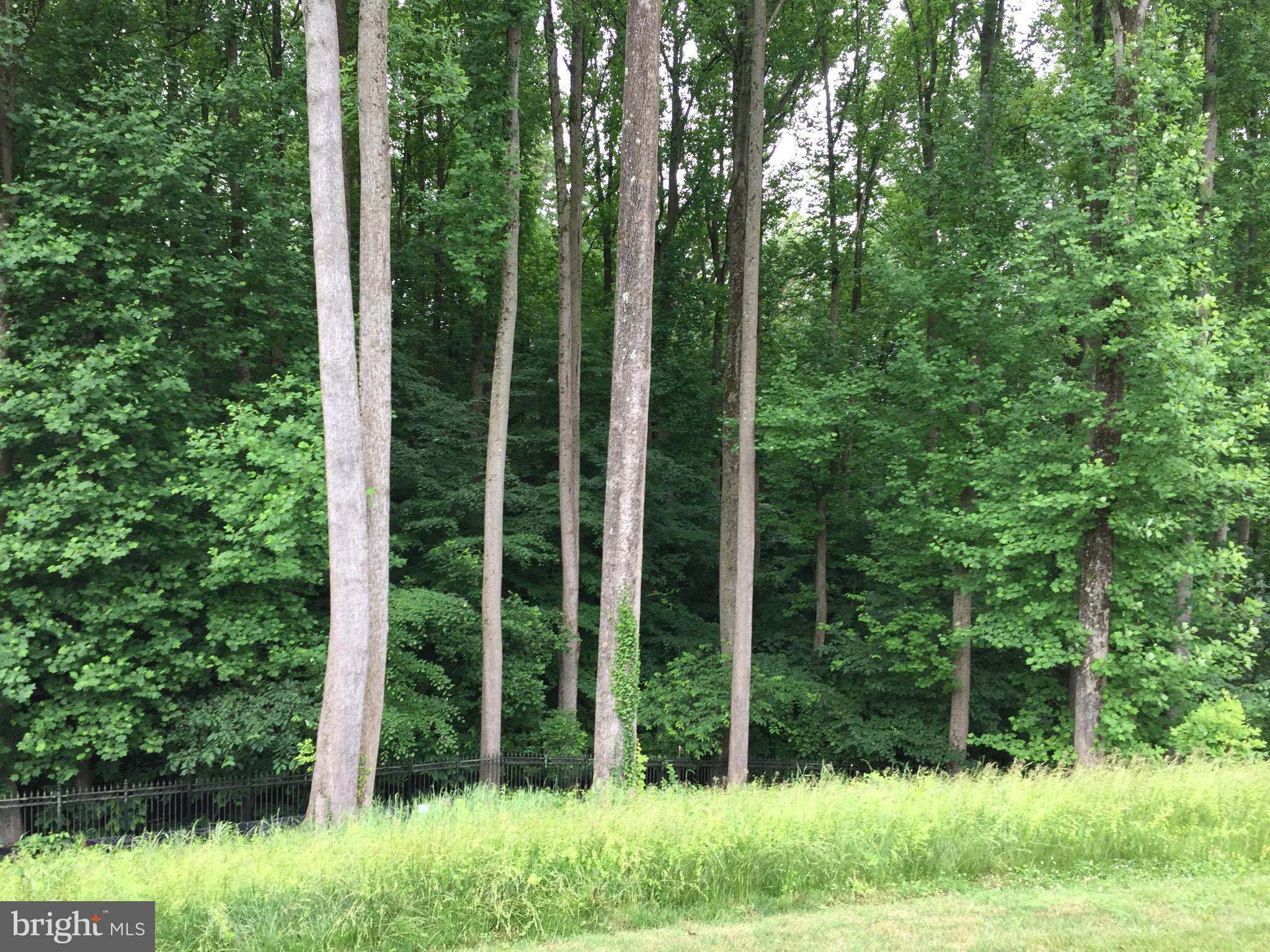 12000 River Road Potomac, MD 20854 - Photo 2 of 5 Exterior (General)