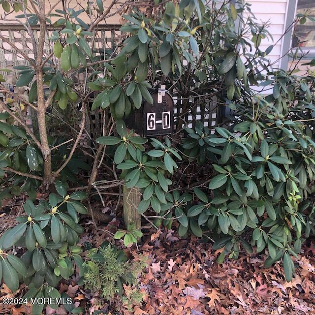 6 D Trail Brick, NJ 08724 - Photo 27 of 31 a view of a tree