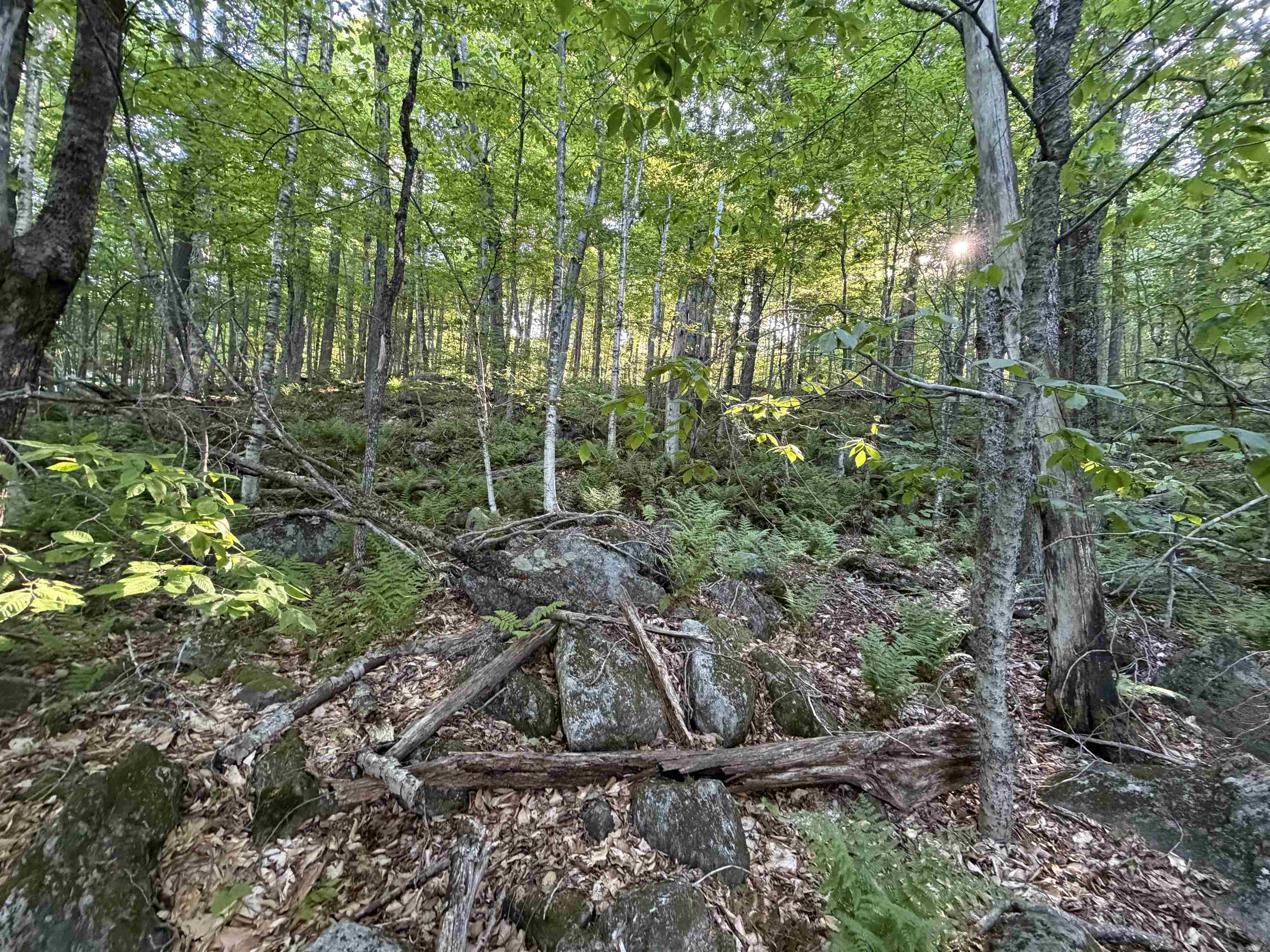 Scattered Timber Road Wilmington, VT 05363 - Photo 11 of 24