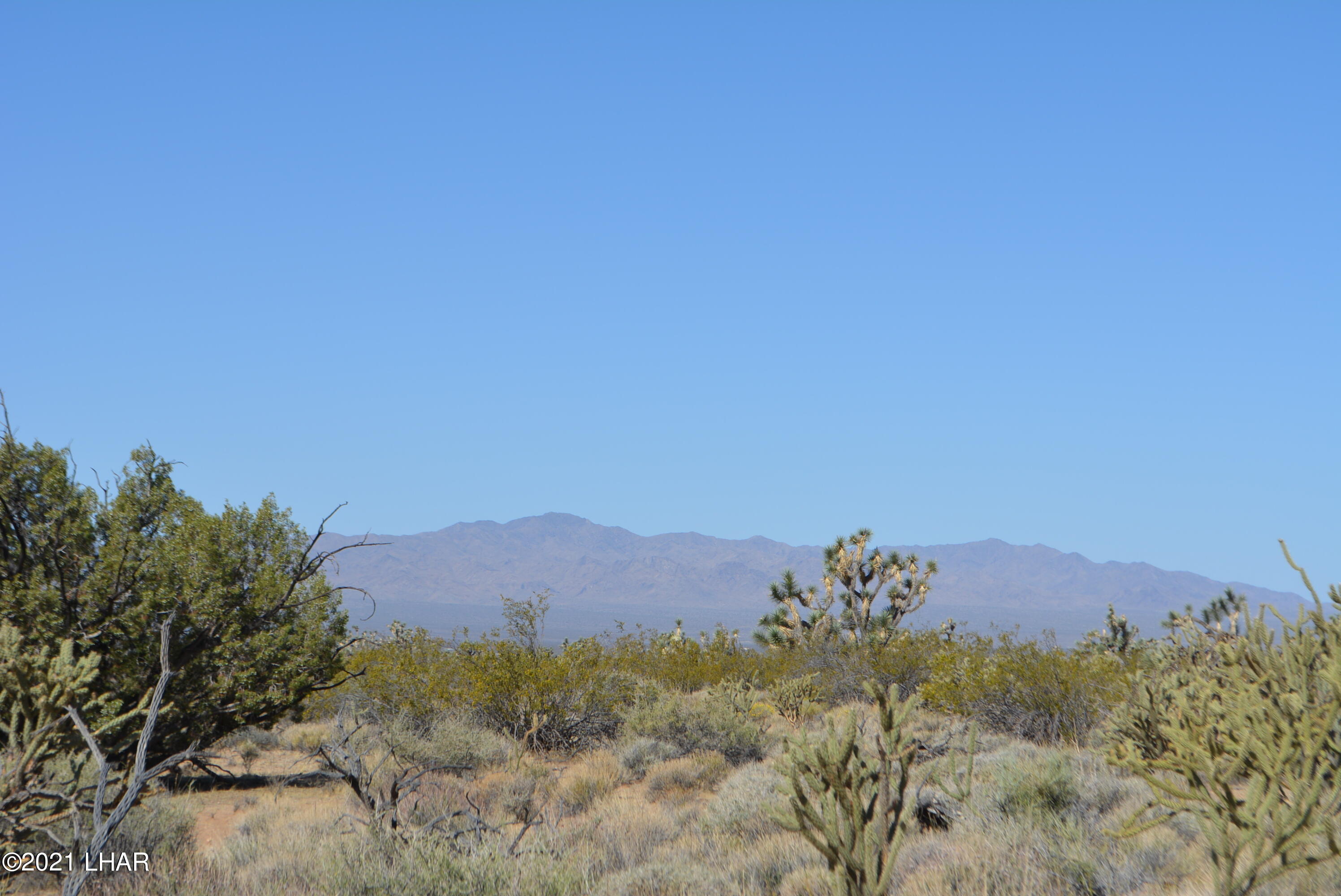 DSC_0158 (1)