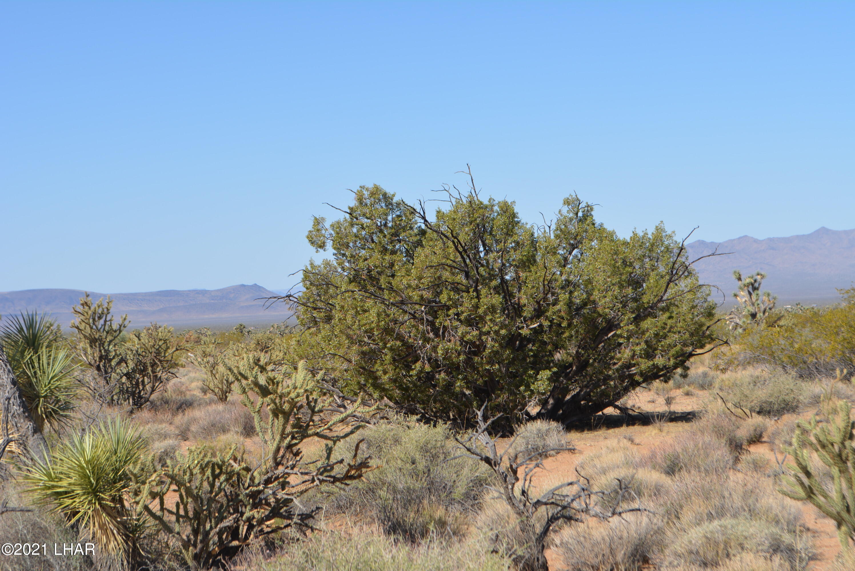 195 South Diamondback Road Yucca, AZ 86438 - Photo 11 of 54 DSC_0168 (1)