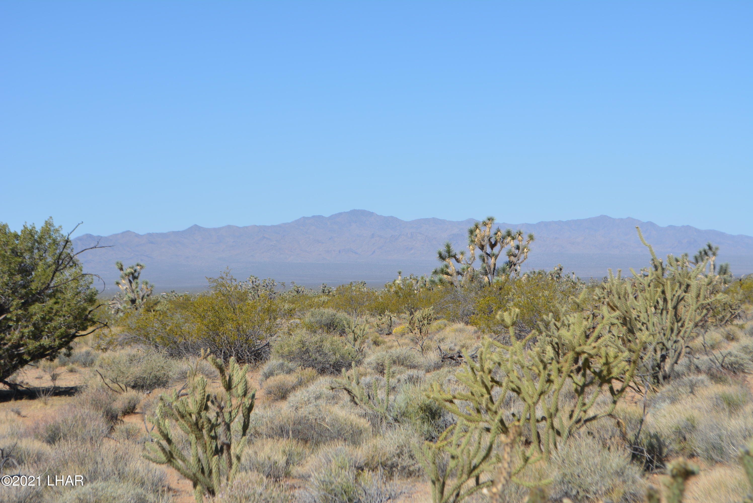 195 South Diamondback Road Yucca, AZ 86438 - Photo 12 of 54 DSC_0169 (1)