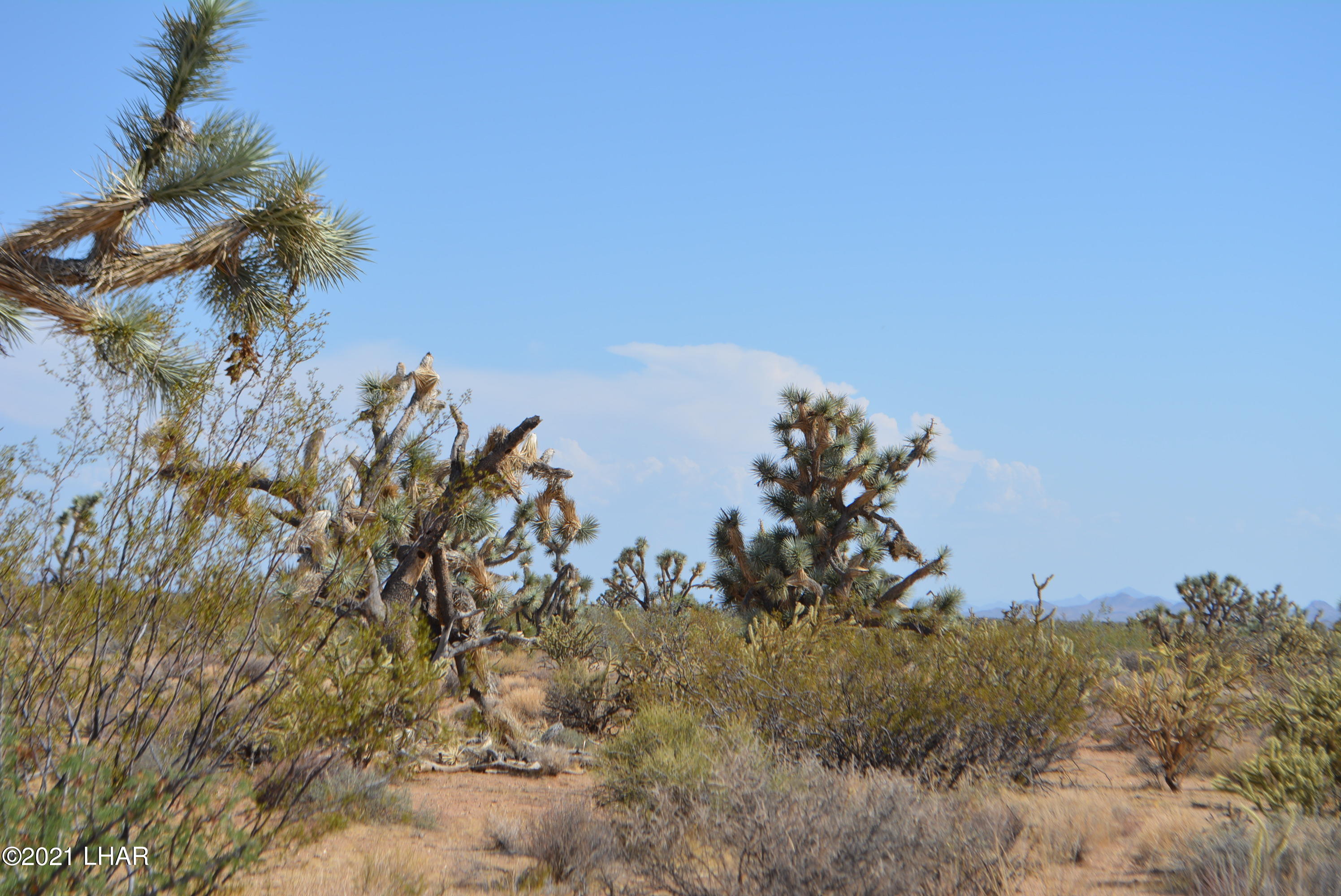 195 South Diamondback Road Yucca, AZ 86438 - Photo 13 of 54 DSC_0440 (2)