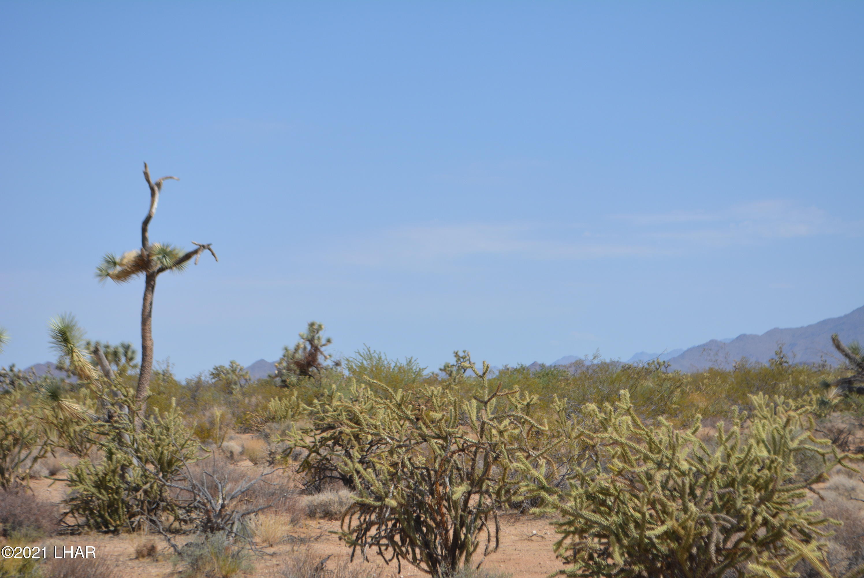 195 South Diamondback Road Yucca, AZ 86438 - Photo 15 of 54 DSC_0453 (2)