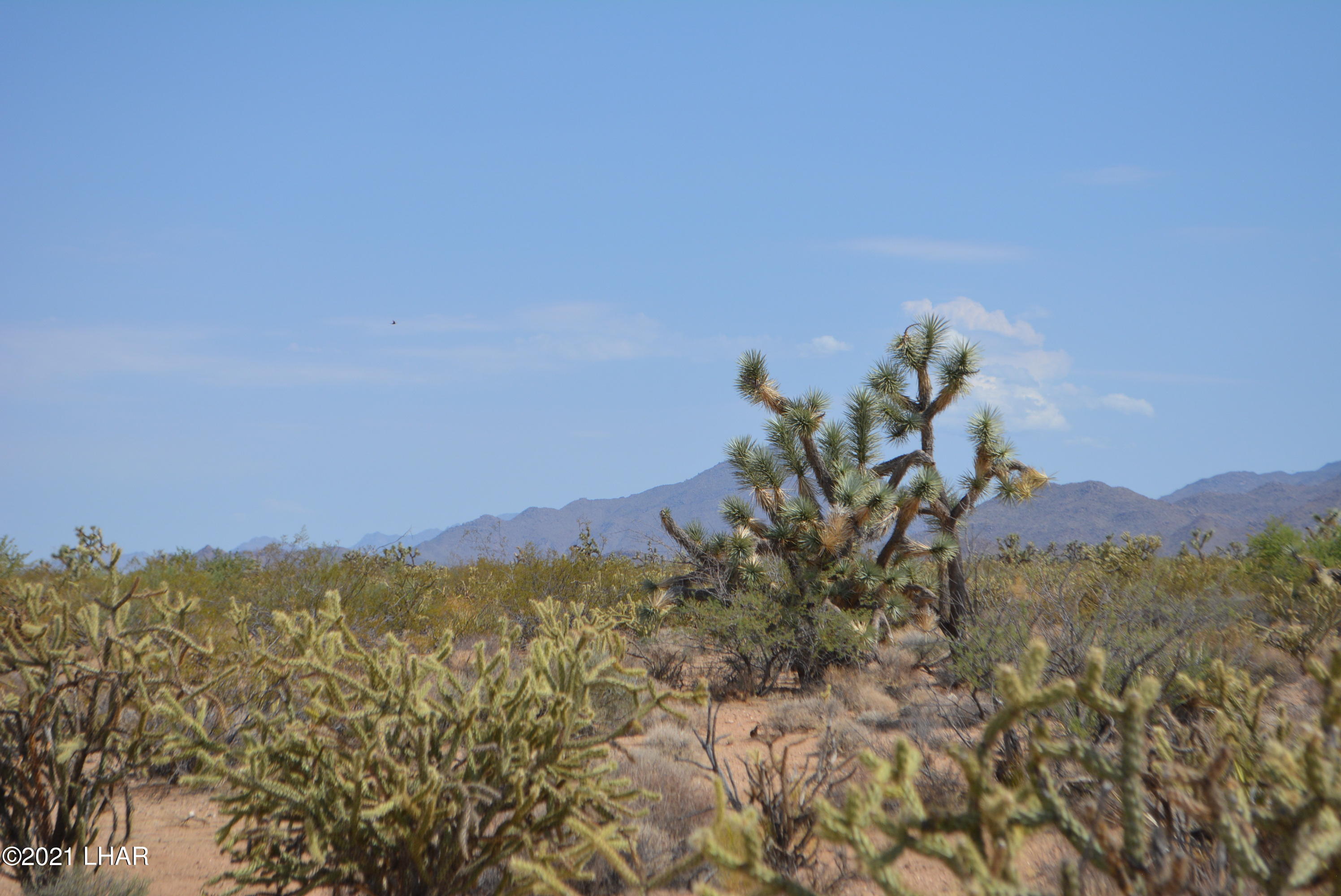 195 South Diamondback Road Yucca, AZ 86438 - Photo 16 of 54 DSC_0454 (2)