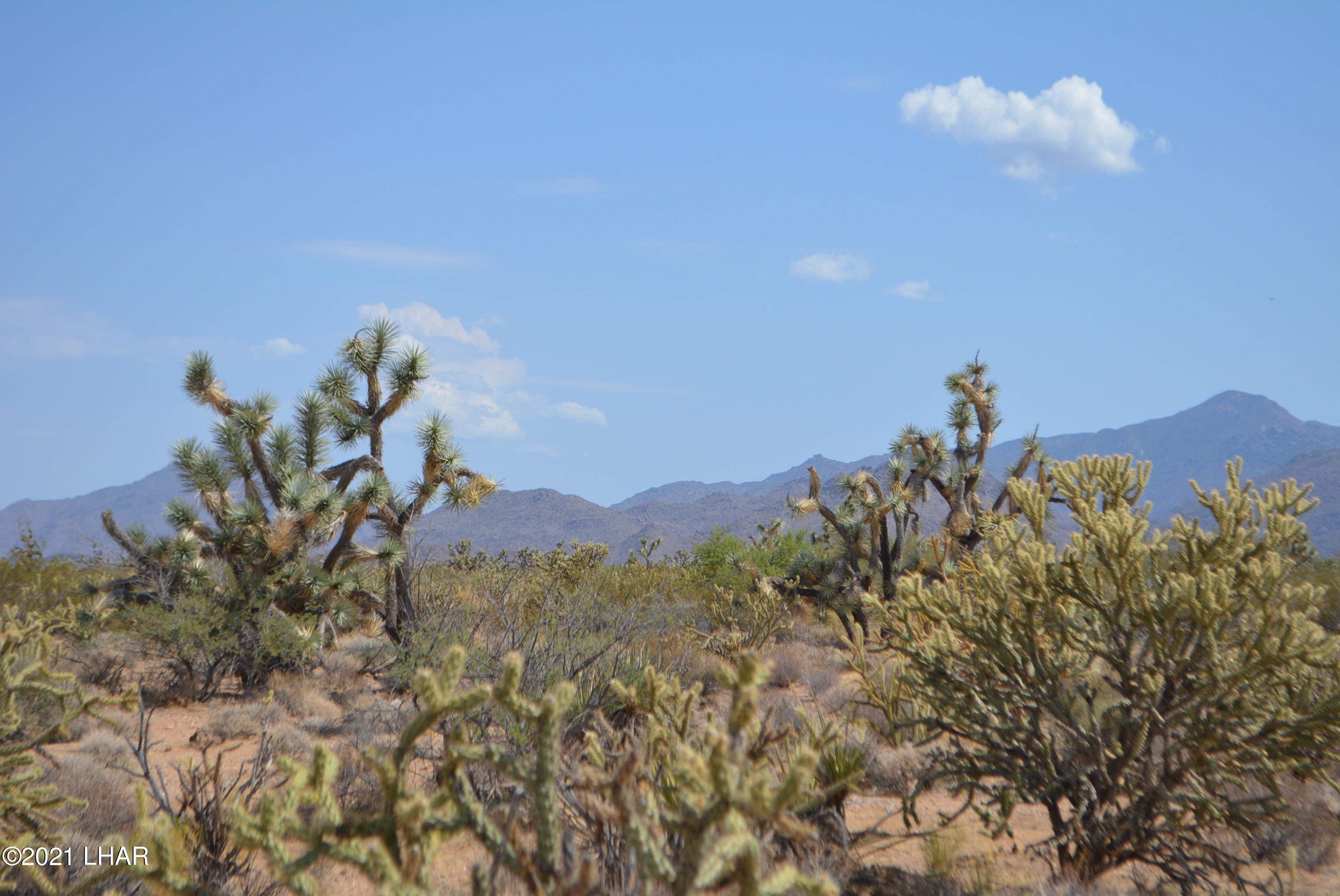 195 South Diamondback Road Yucca, AZ 86438 - Photo 17 of 54 DSC_0455 (2)