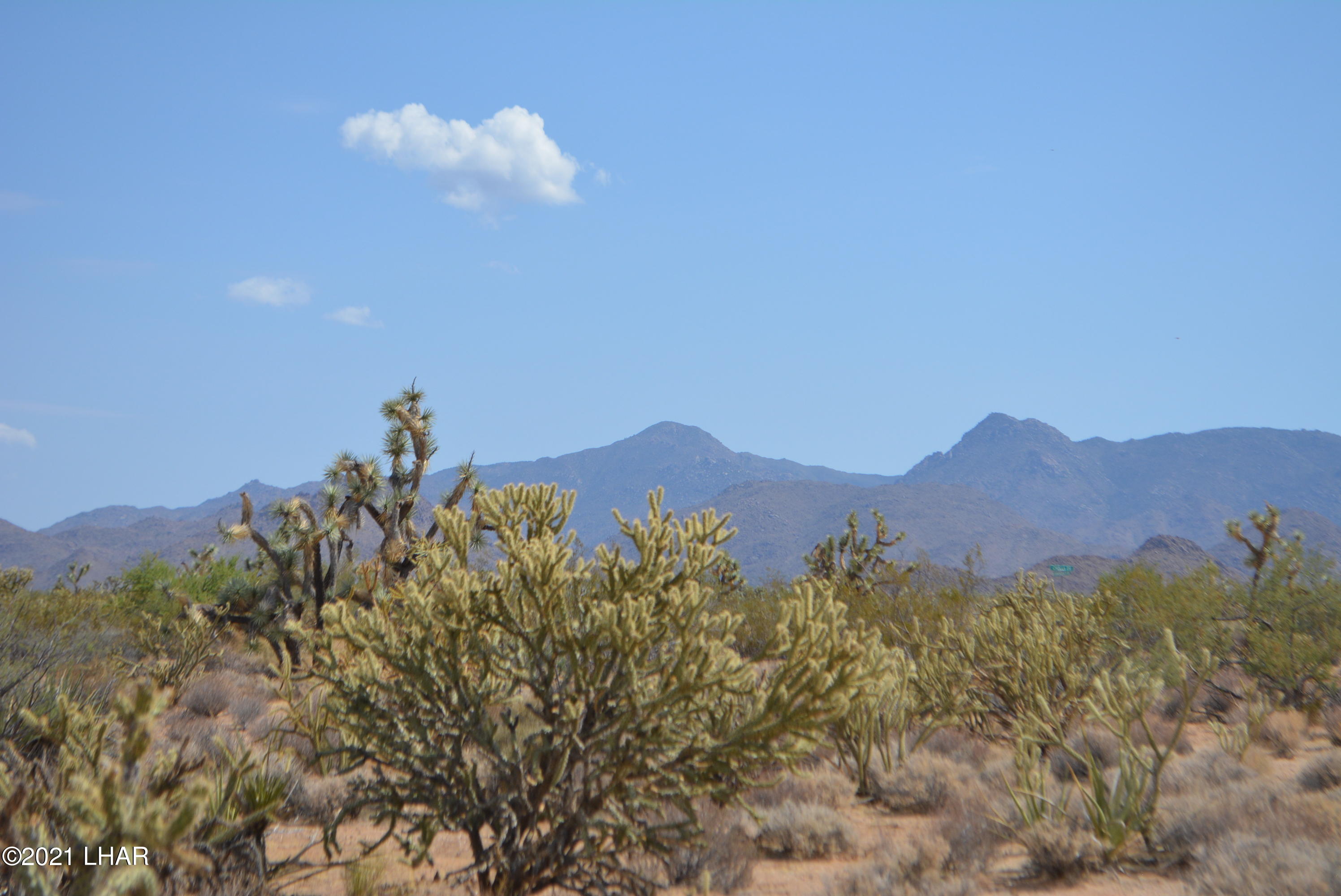 195 South Diamondback Road Yucca, AZ 86438 - Photo 18 of 54 DSC_0456 (2)