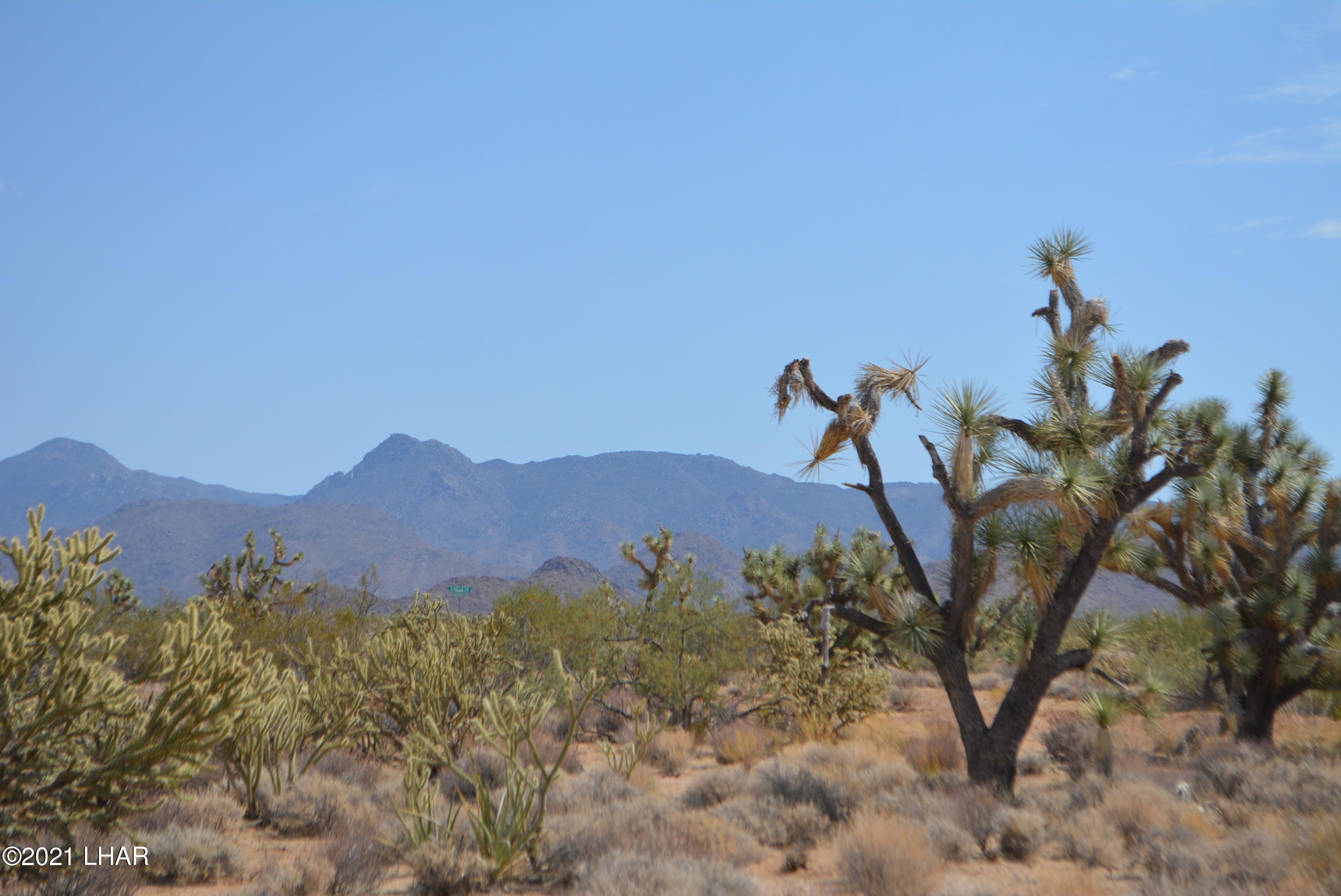 195 South Diamondback Road Yucca, AZ 86438 - Photo 19 of 54 DSC_0457 (2)