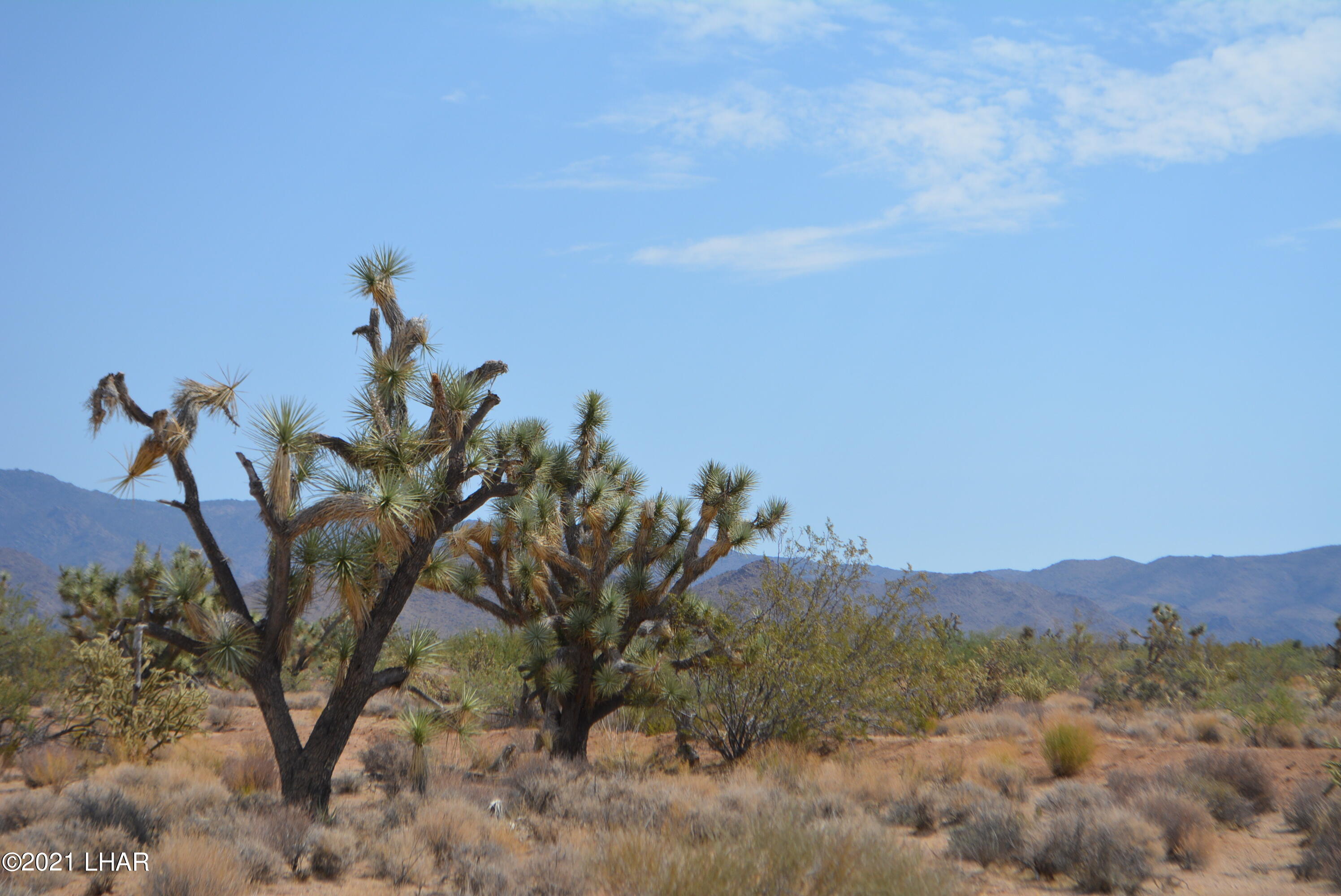 195 South Diamondback Road Yucca, AZ 86438 - Photo 20 of 54 DSC_0458 (2)