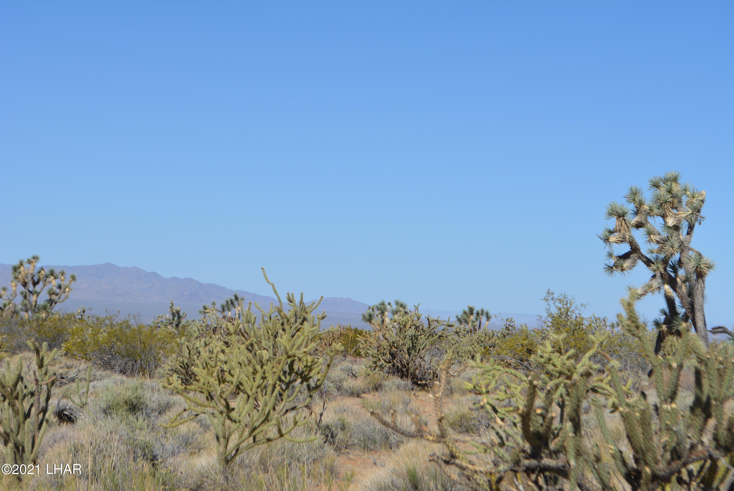 195 South Diamondback Road Yucca, AZ 86438 - Photo 2 of 54 DSC_0159 (1)