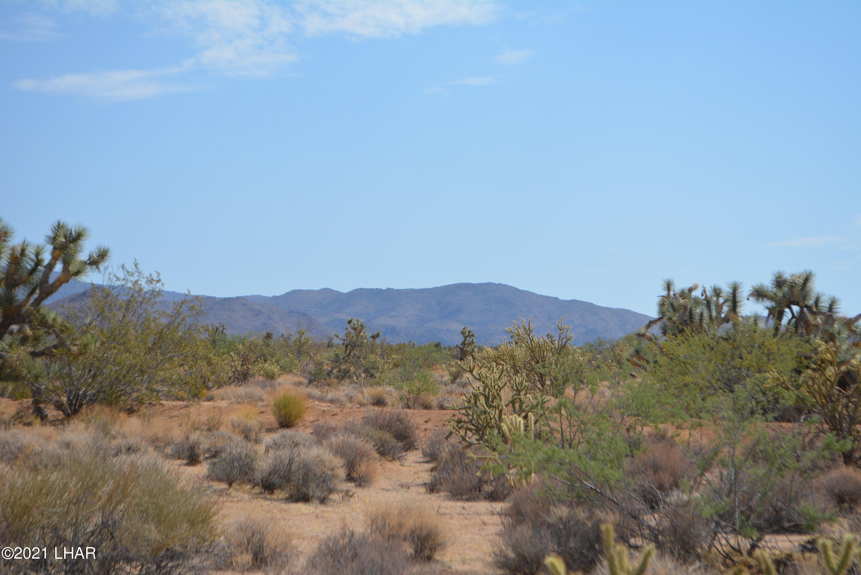 195 South Diamondback Road Yucca, AZ 86438 - Photo 21 of 54 DSC_0459 (2)