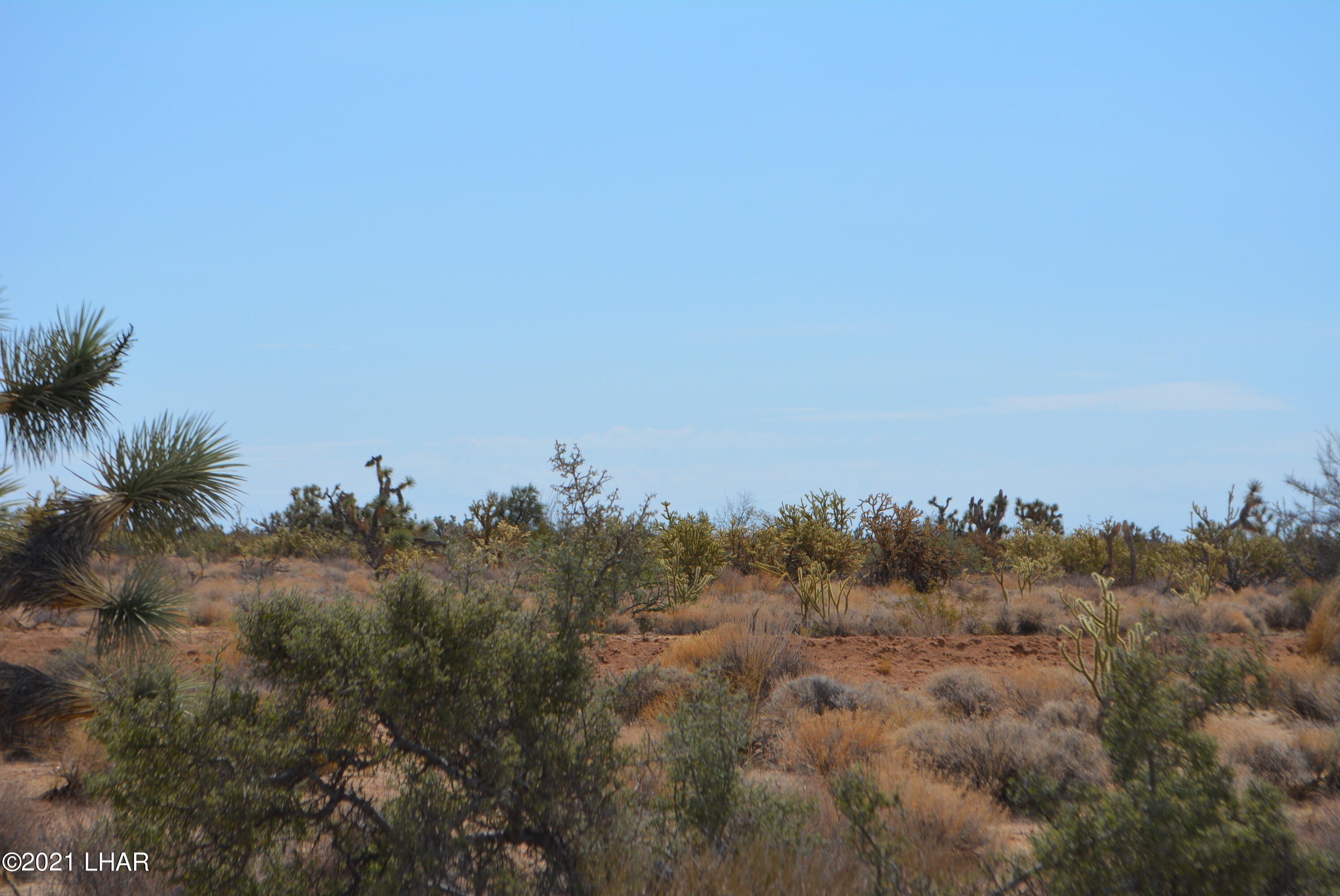 195 South Diamondback Road Yucca, AZ 86438 - Photo 24 of 54 DSC_0462 (2)