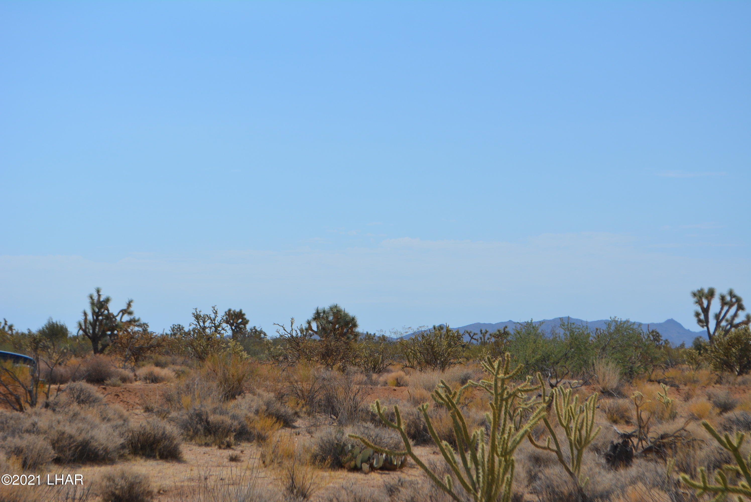 195 South Diamondback Road Yucca, AZ 86438 - Photo 25 of 54 DSC_0463 (2)