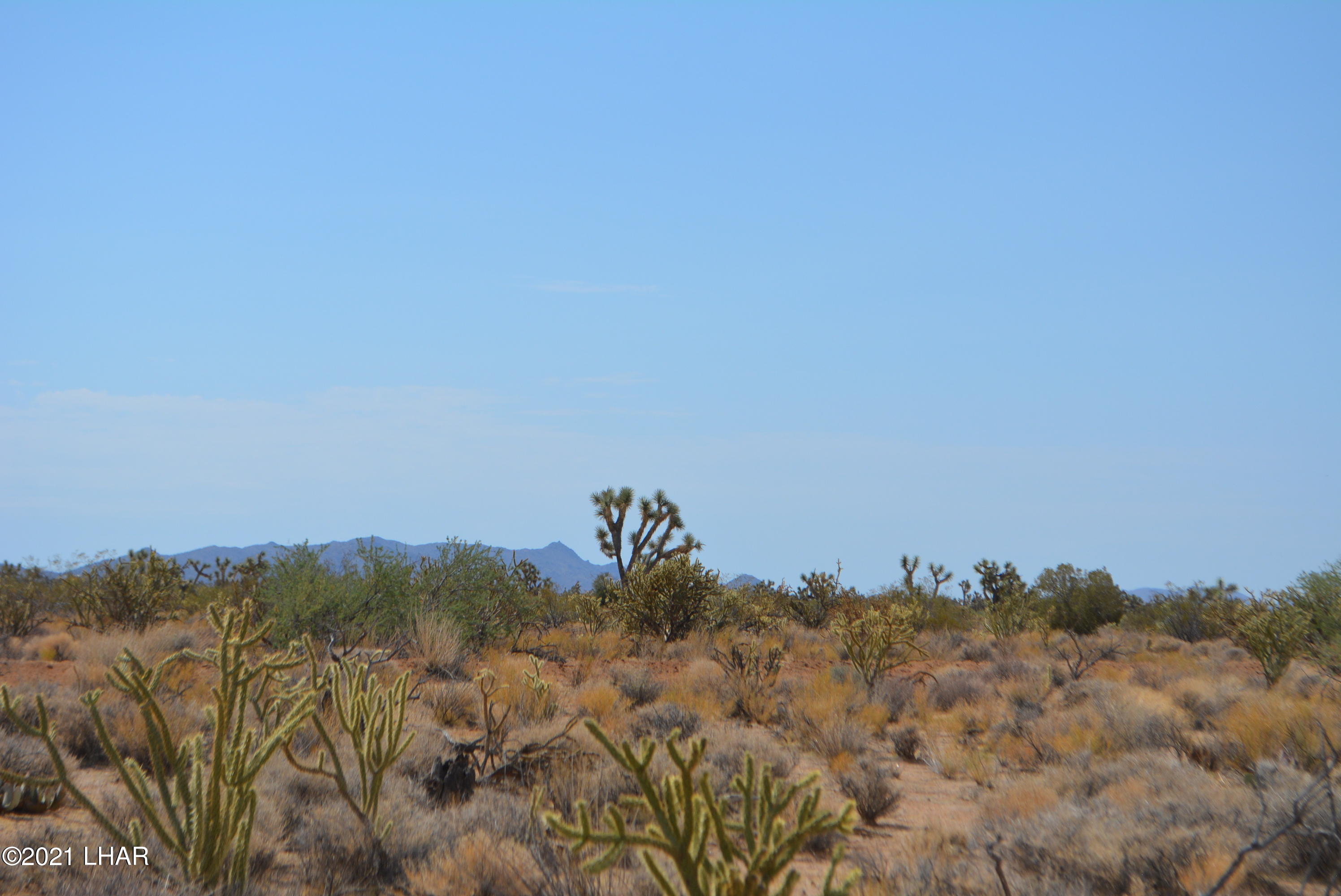 195 South Diamondback Road Yucca, AZ 86438 - Photo 26 of 54 DSC_0464 (2)