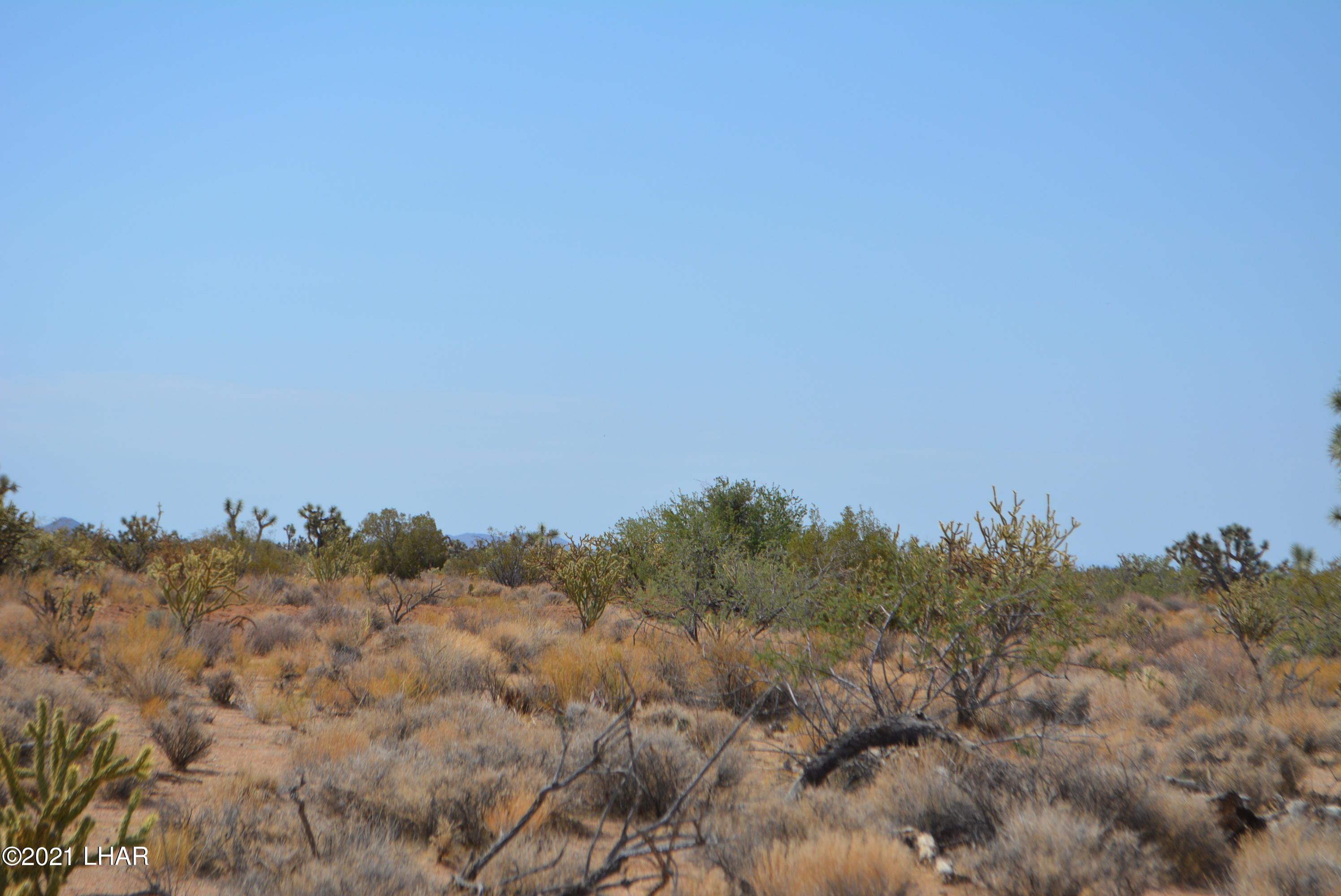 195 South Diamondback Road Yucca, AZ 86438 - Photo 27 of 54 DSC_0465 (2)