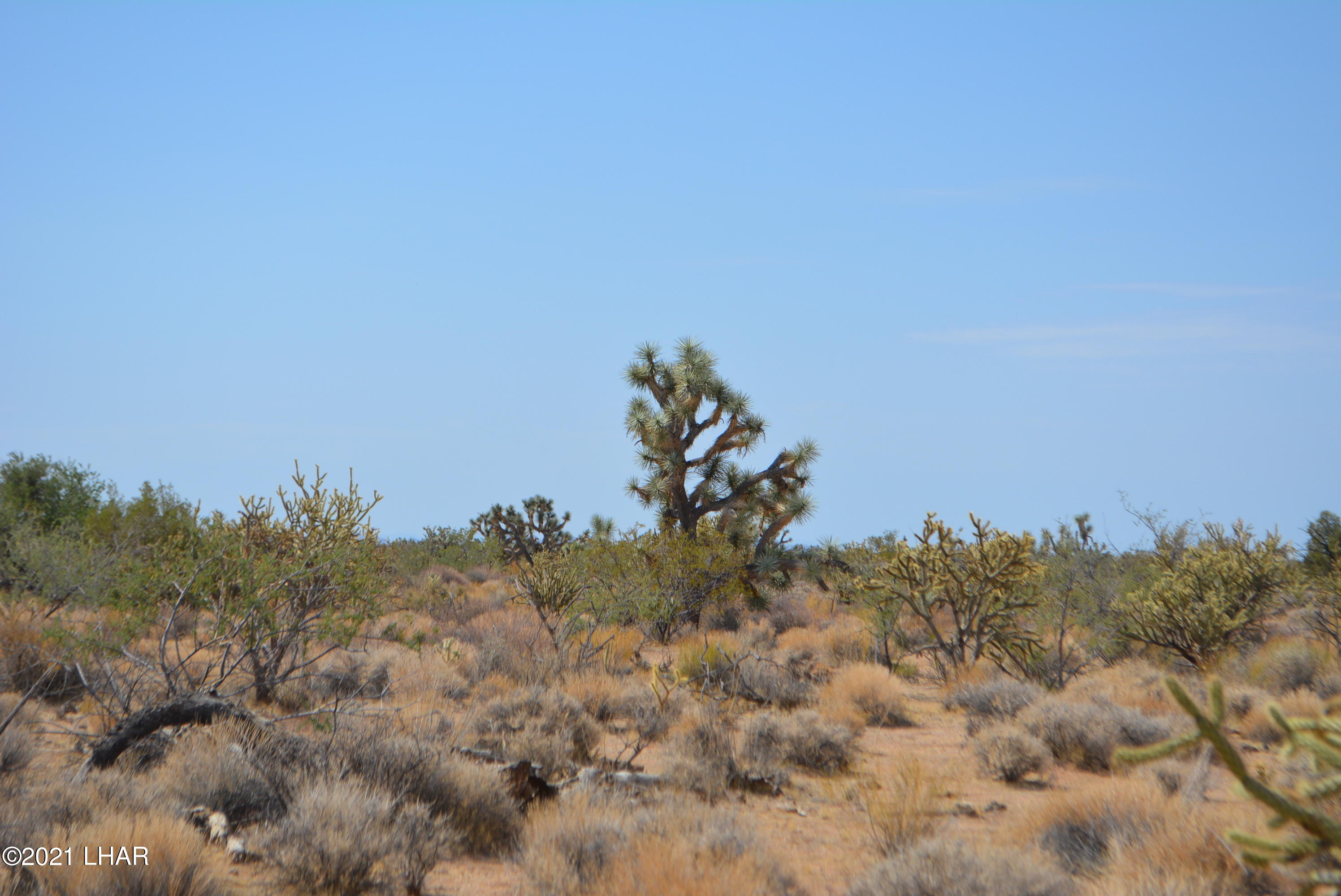 195 South Diamondback Road Yucca, AZ 86438 - Photo 28 of 54 DSC_0466 (2)