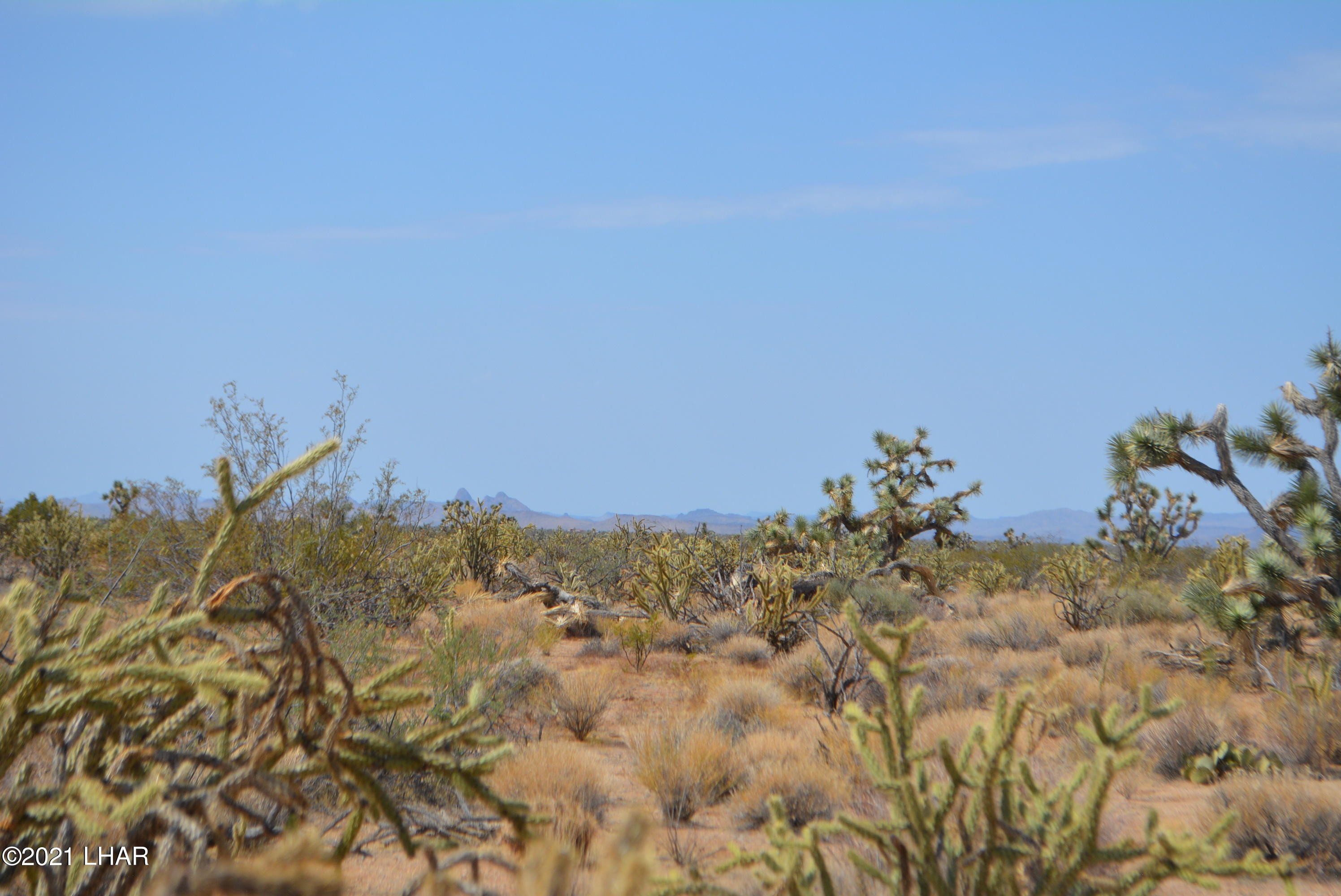 195 South Diamondback Road Yucca, AZ 86438 - Photo 29 of 54 DSC_0468 (2)