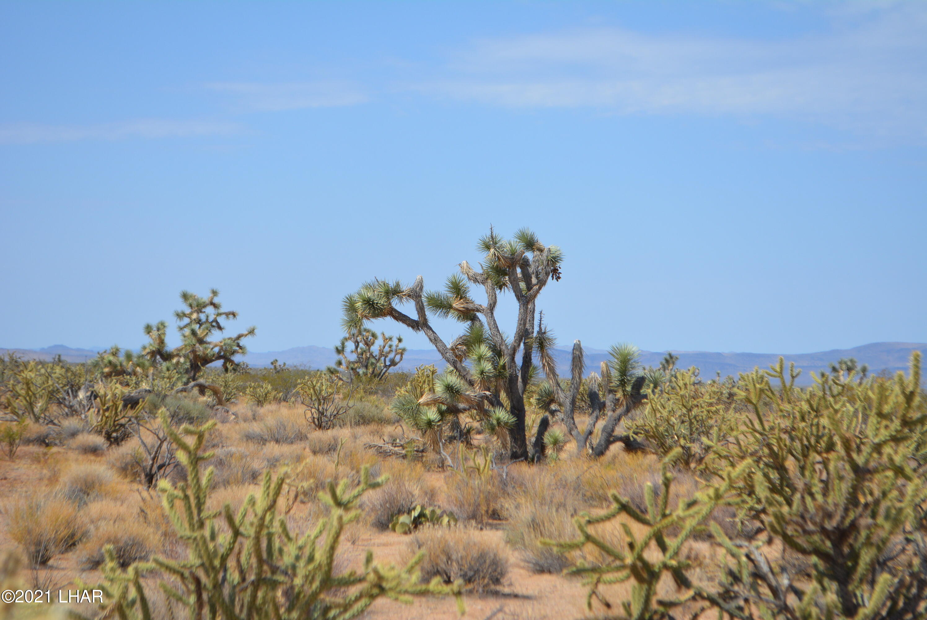 195 South Diamondback Road Yucca, AZ 86438 - Photo 30 of 54 DSC_0469 (2)