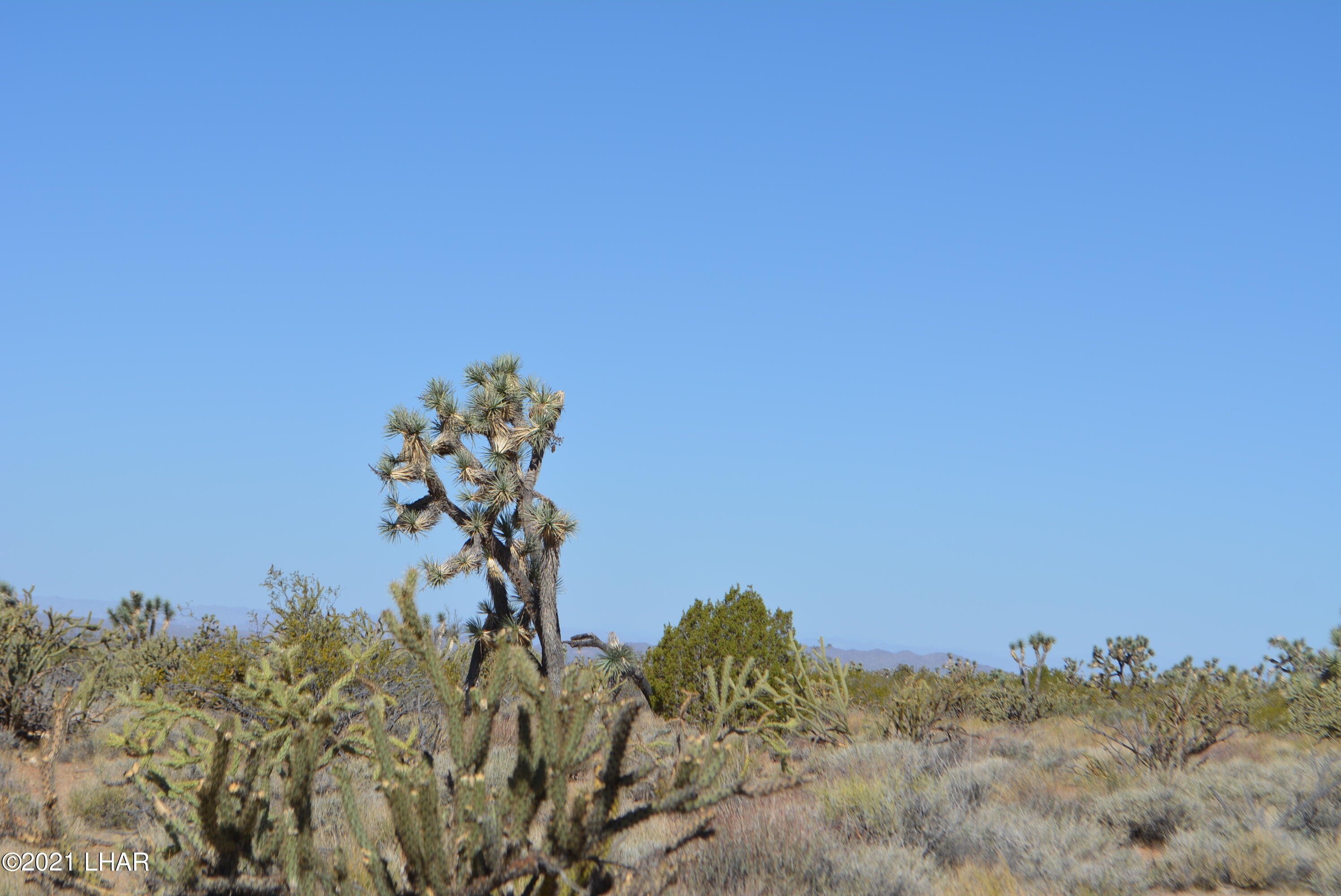 195 South Diamondback Road Yucca, AZ 86438 - Photo 3 of 54 DSC_0160 (1)