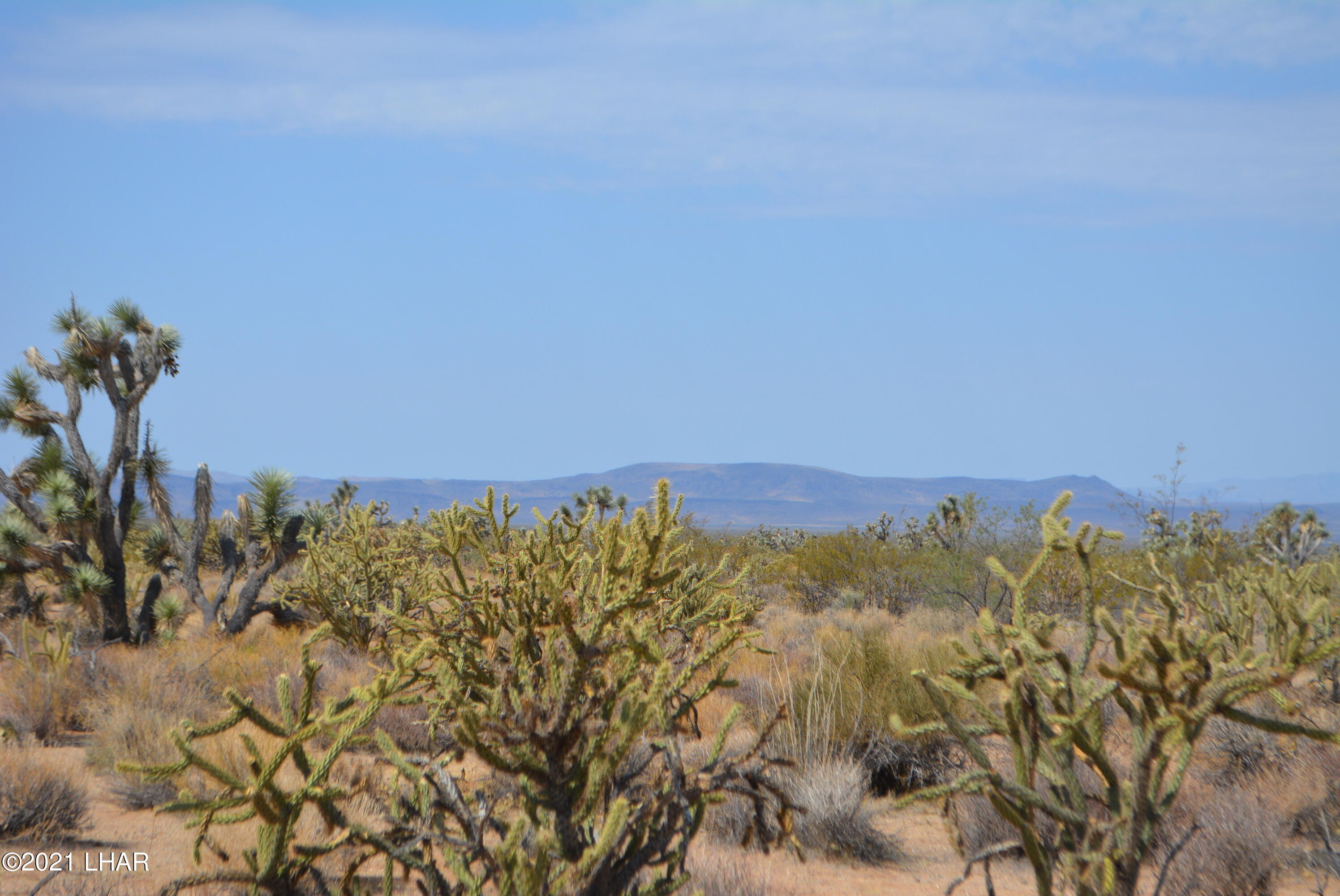 195 South Diamondback Road Yucca, AZ 86438 - Photo 31 of 54 DSC_0470 (2)