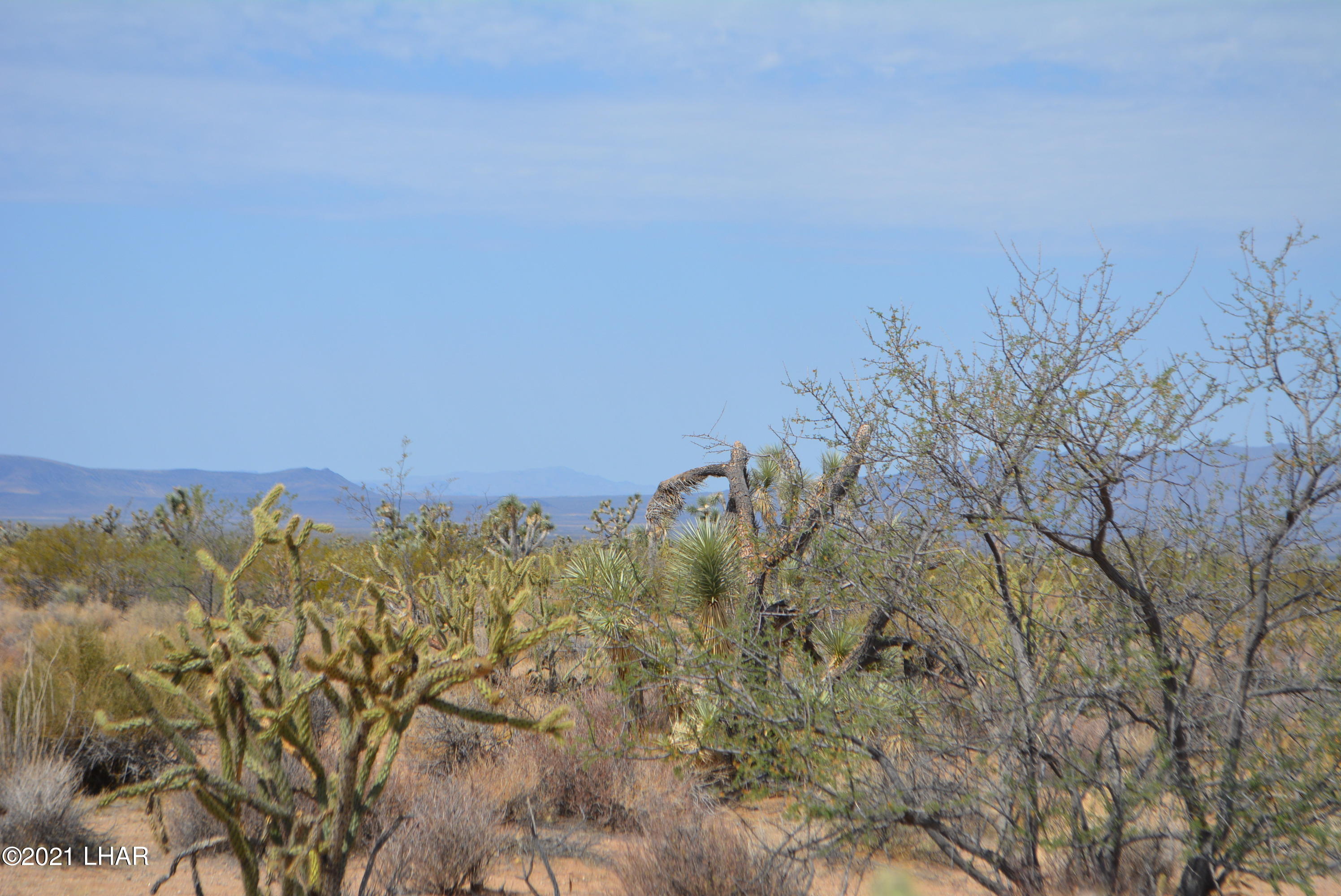 195 South Diamondback Road Yucca, AZ 86438 - Photo 32 of 54 DSC_0471 (2)